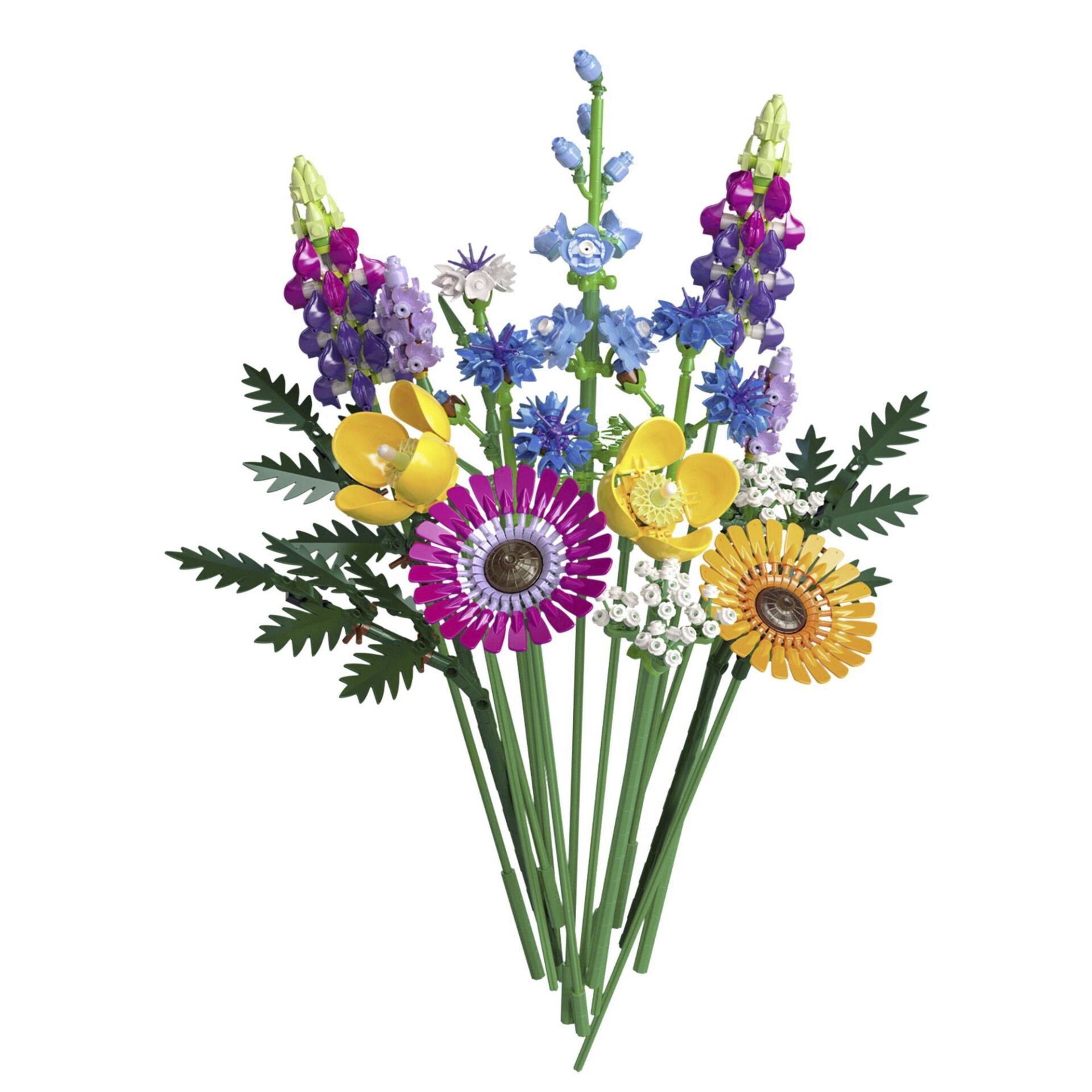 Blume, Blumen-Arrangement, Pflanze, Blumenstrauß, Anemone