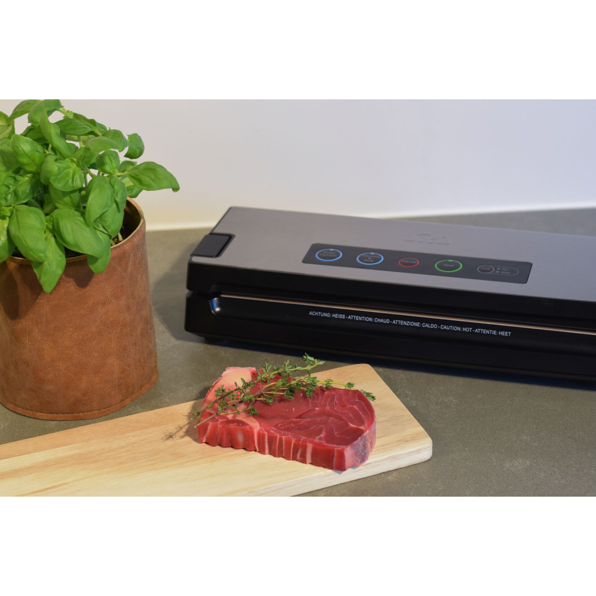 Pflanze, Pflanze im Topf