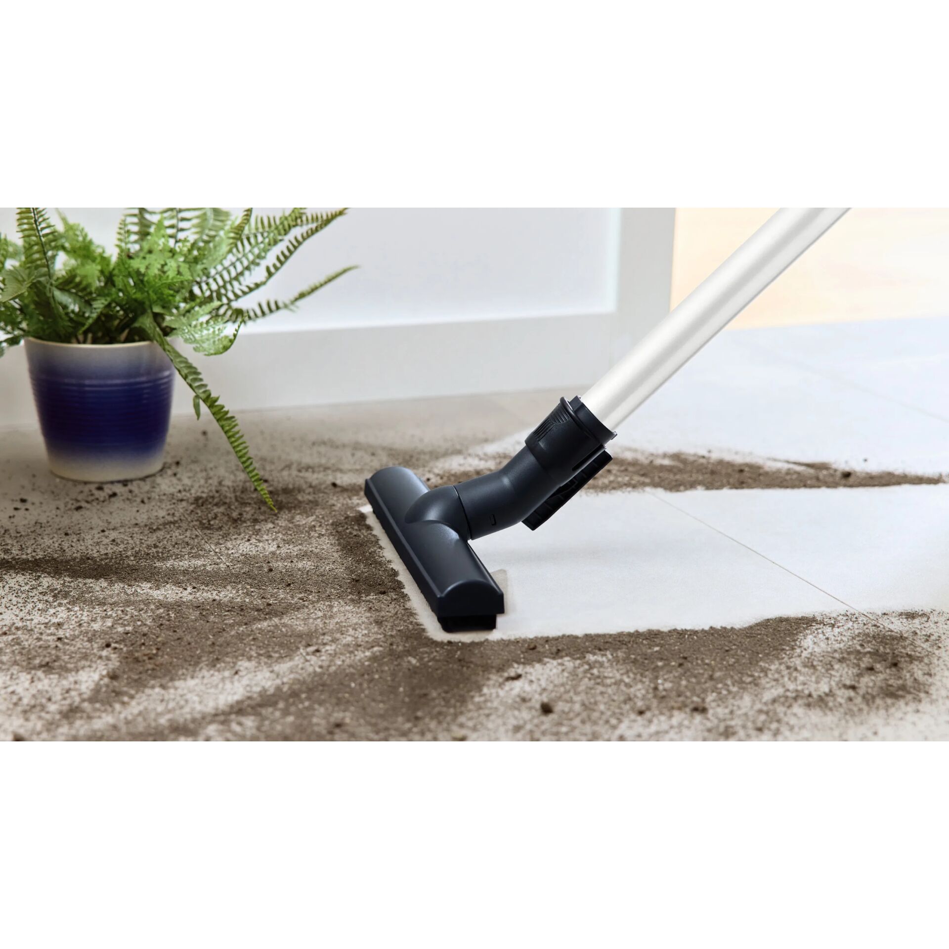 Pflanze, Pflanze im Topf