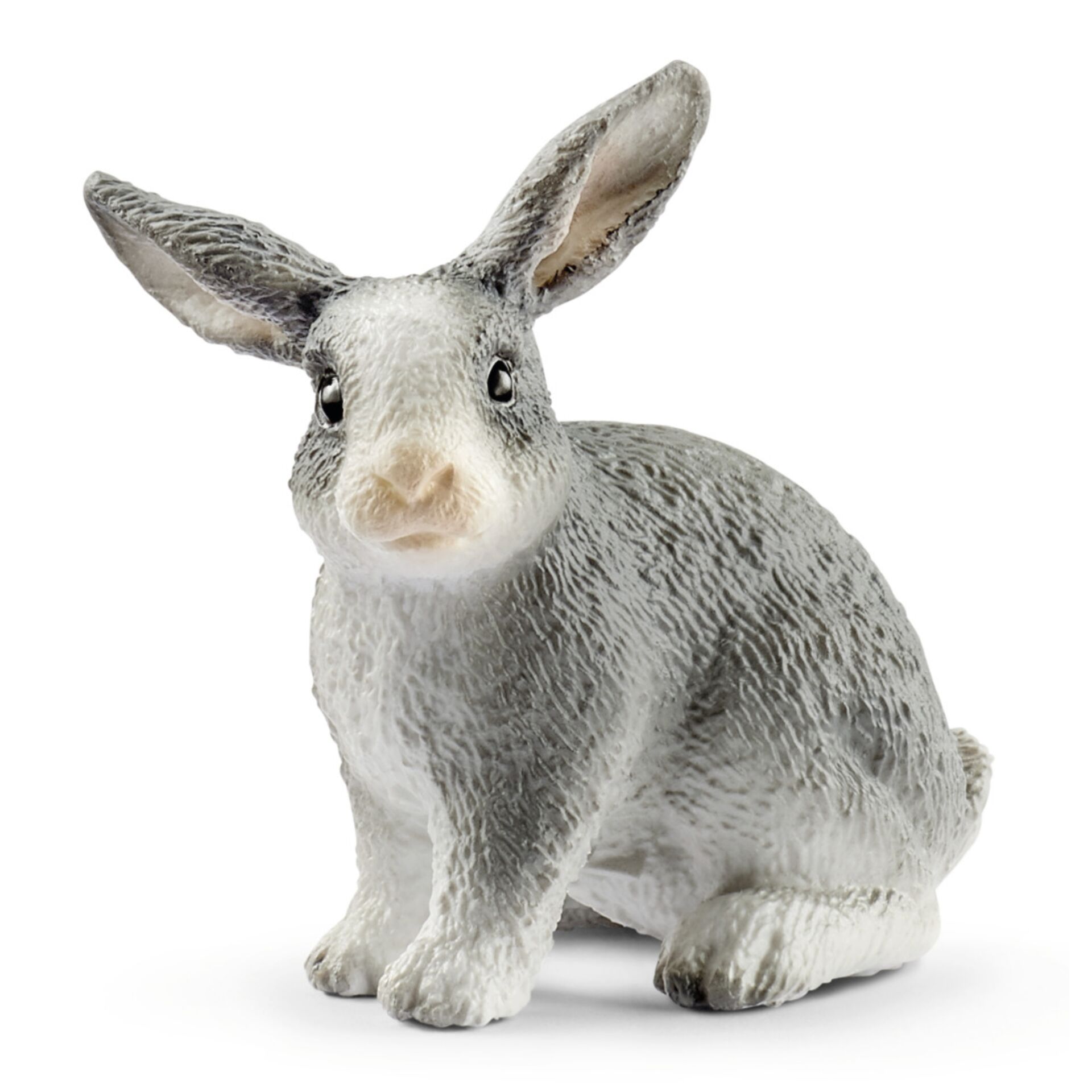 Säugetier, Hase, Schaf, Nagetier