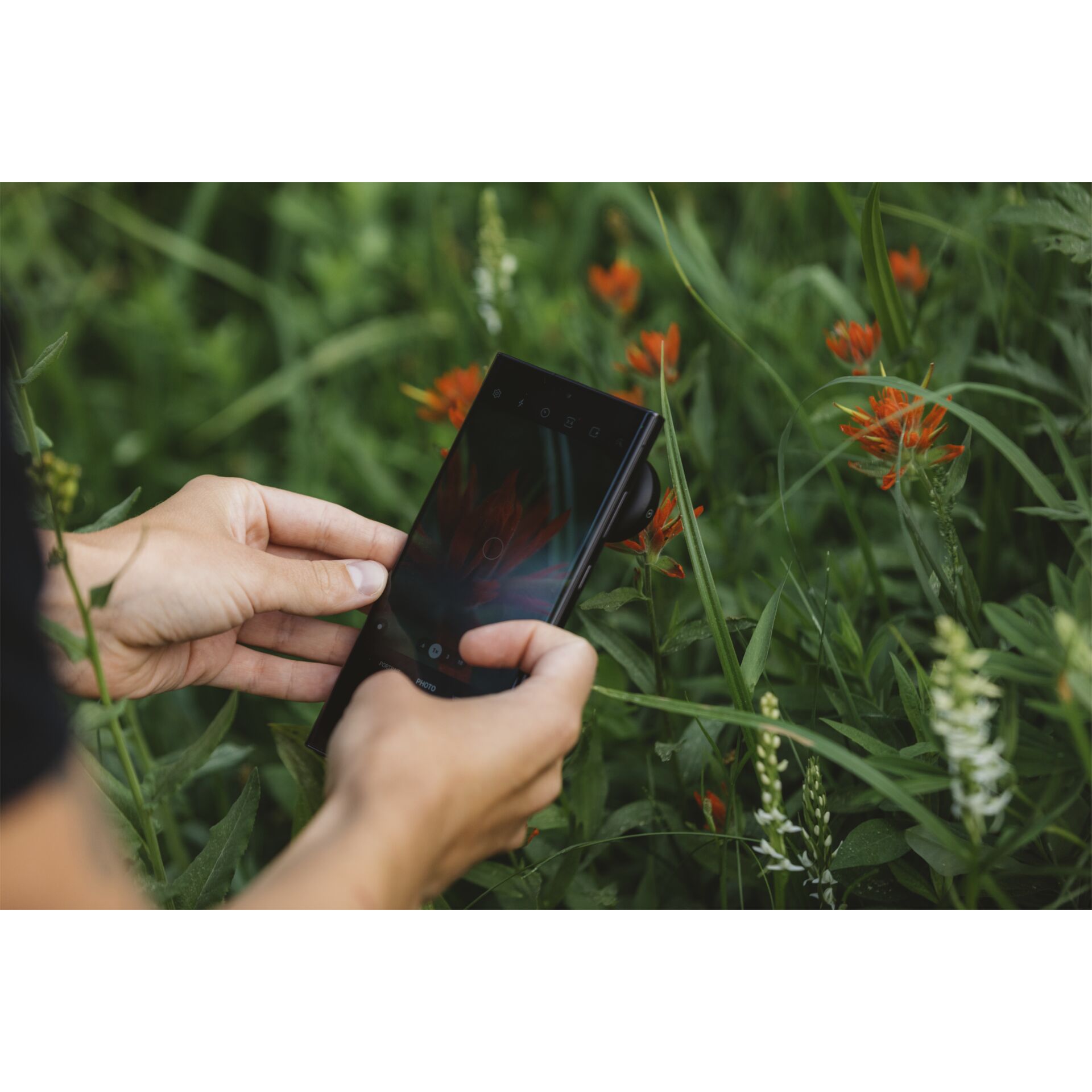 Elektronik, Telefon, Handy, Photographie