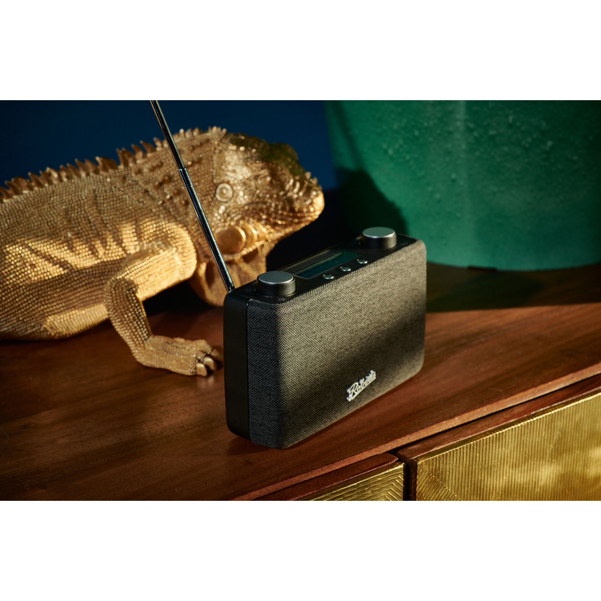 Tier, Echse, Reptil, Leguan, Elektronik