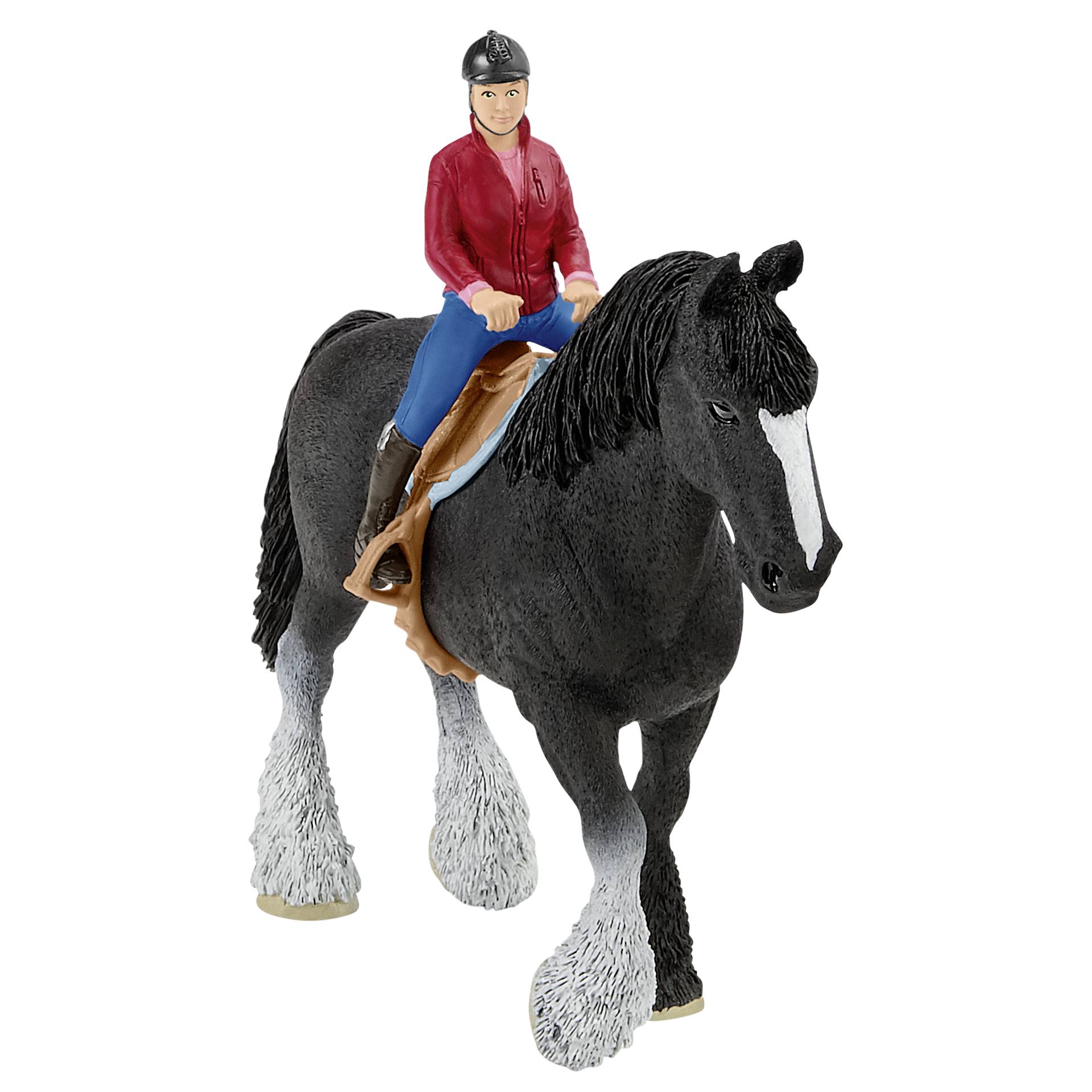 Person, Tier, Pferd, Säugetier