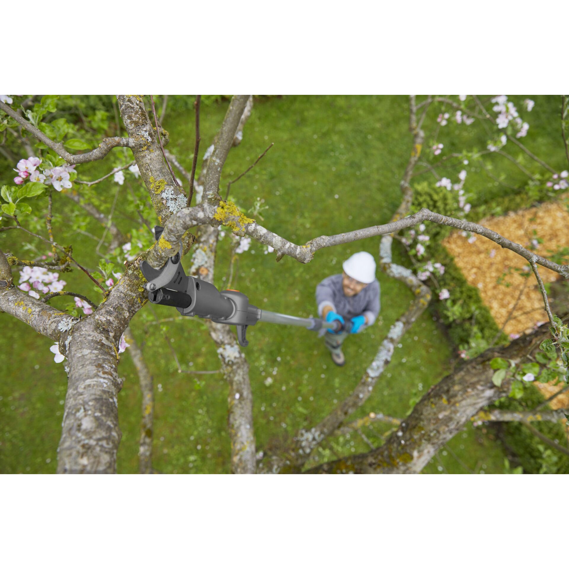 Baum, Junge, Kind, Männlich, Person