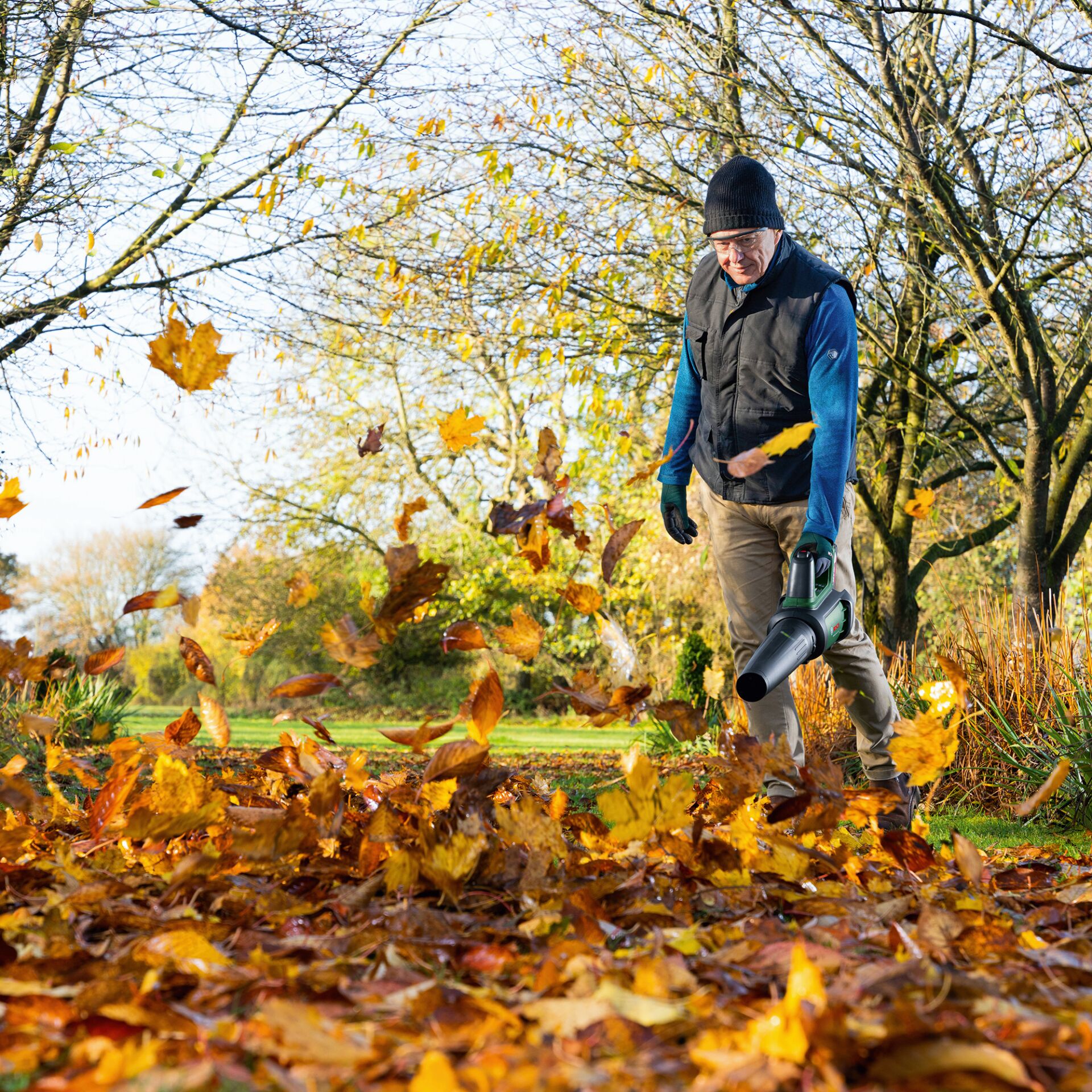 Blatt, Herbst, Handschuh, Mann, Person