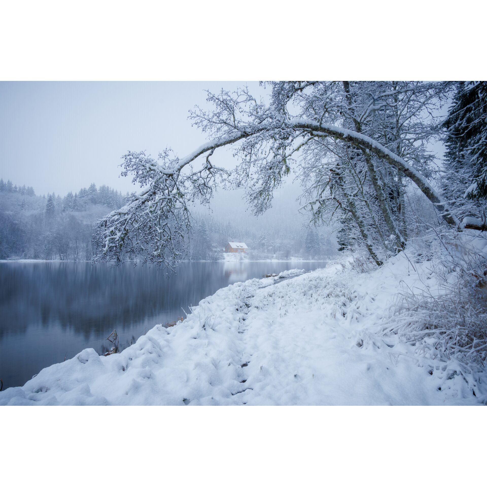 Natur, Draußen, Wetter, Landschaft, Eis