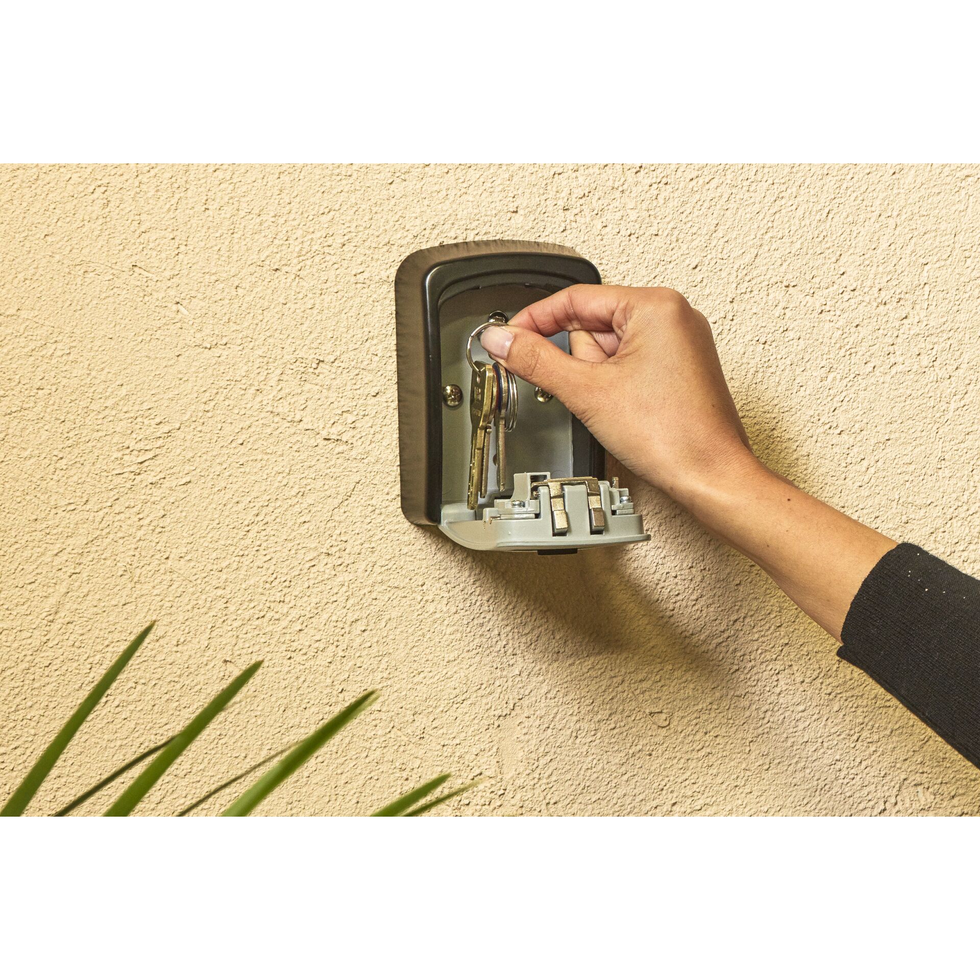 Drinnen, Innenarchitektur, Person, Pflanze