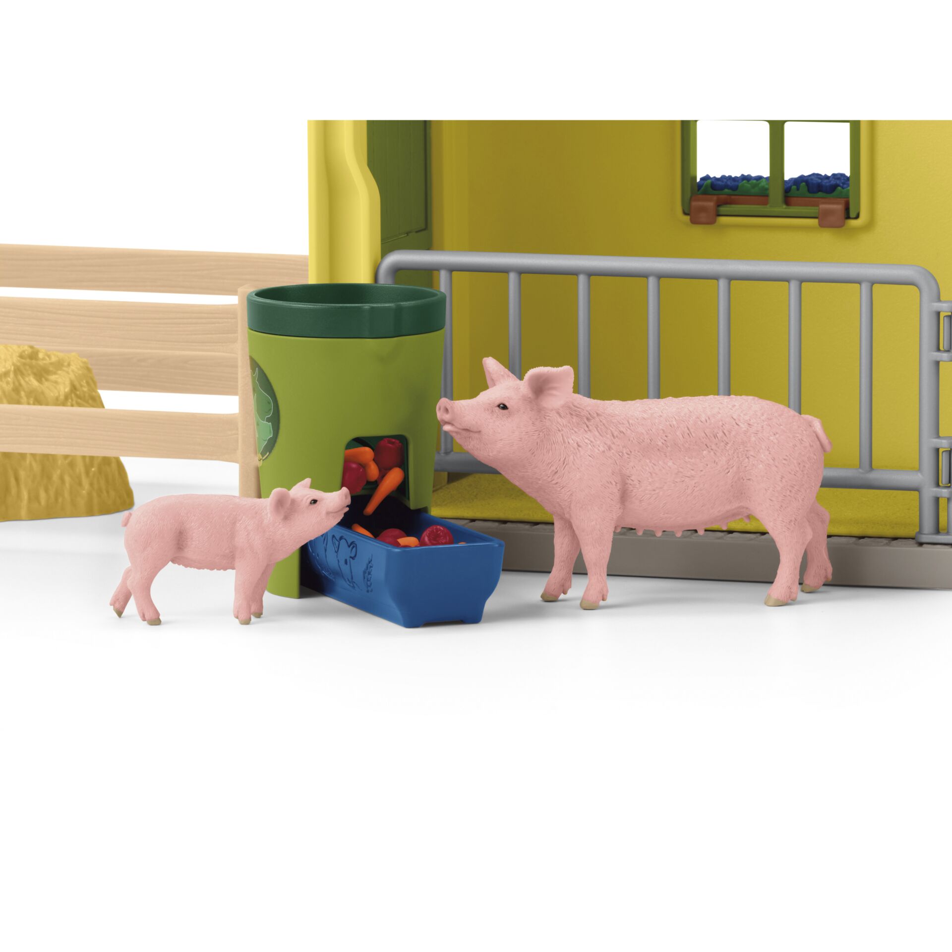 Tier, Säugetier, Schwein