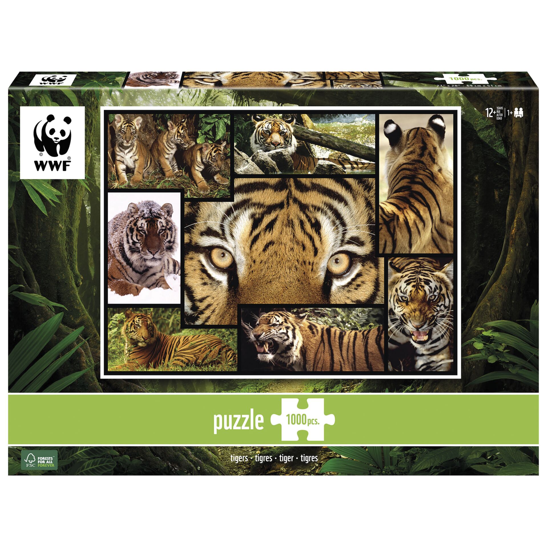 Tier, Säugetier, Tiger, Tierwelt, Zoo