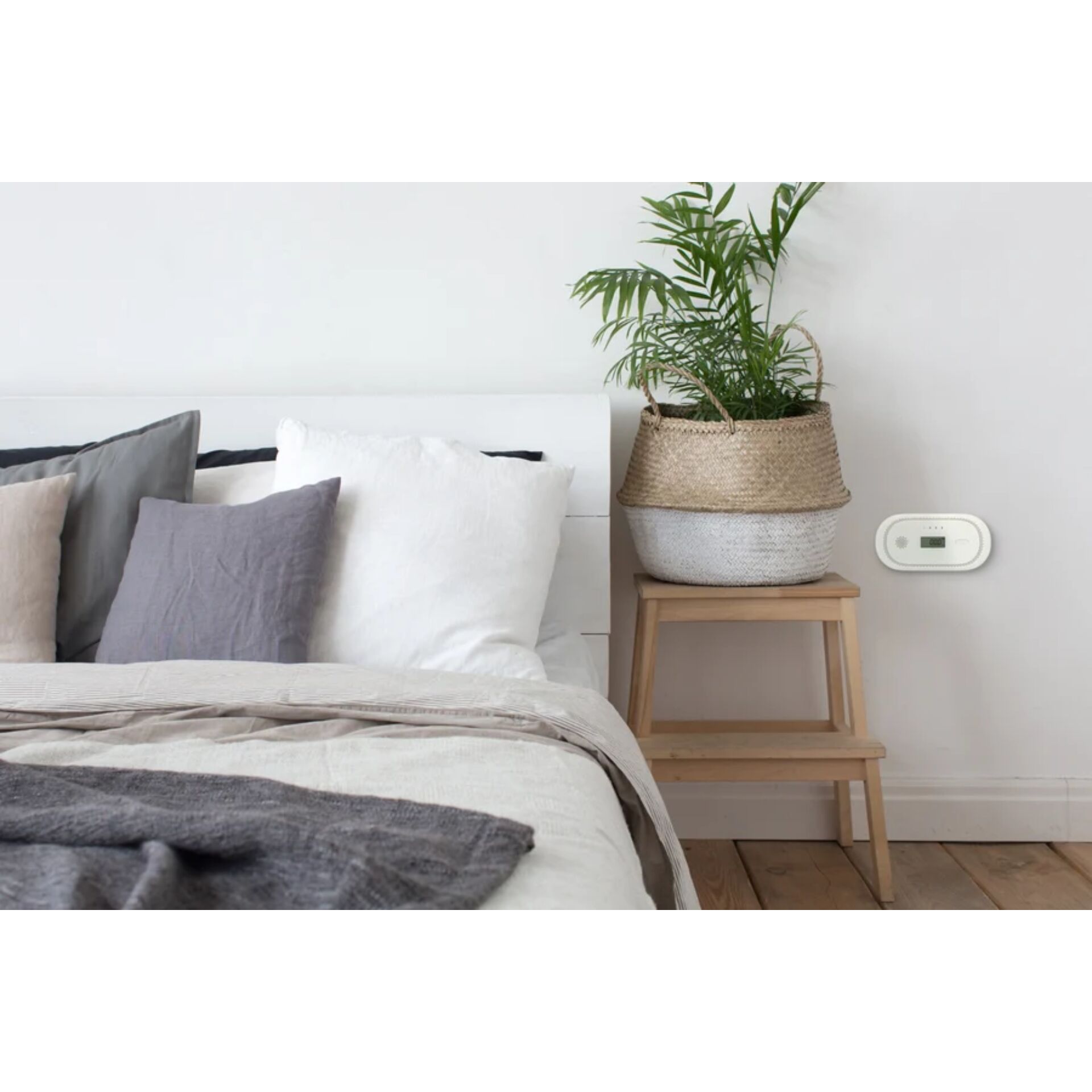 bett, kissen, pflanze, pflanzenkorb, schrank