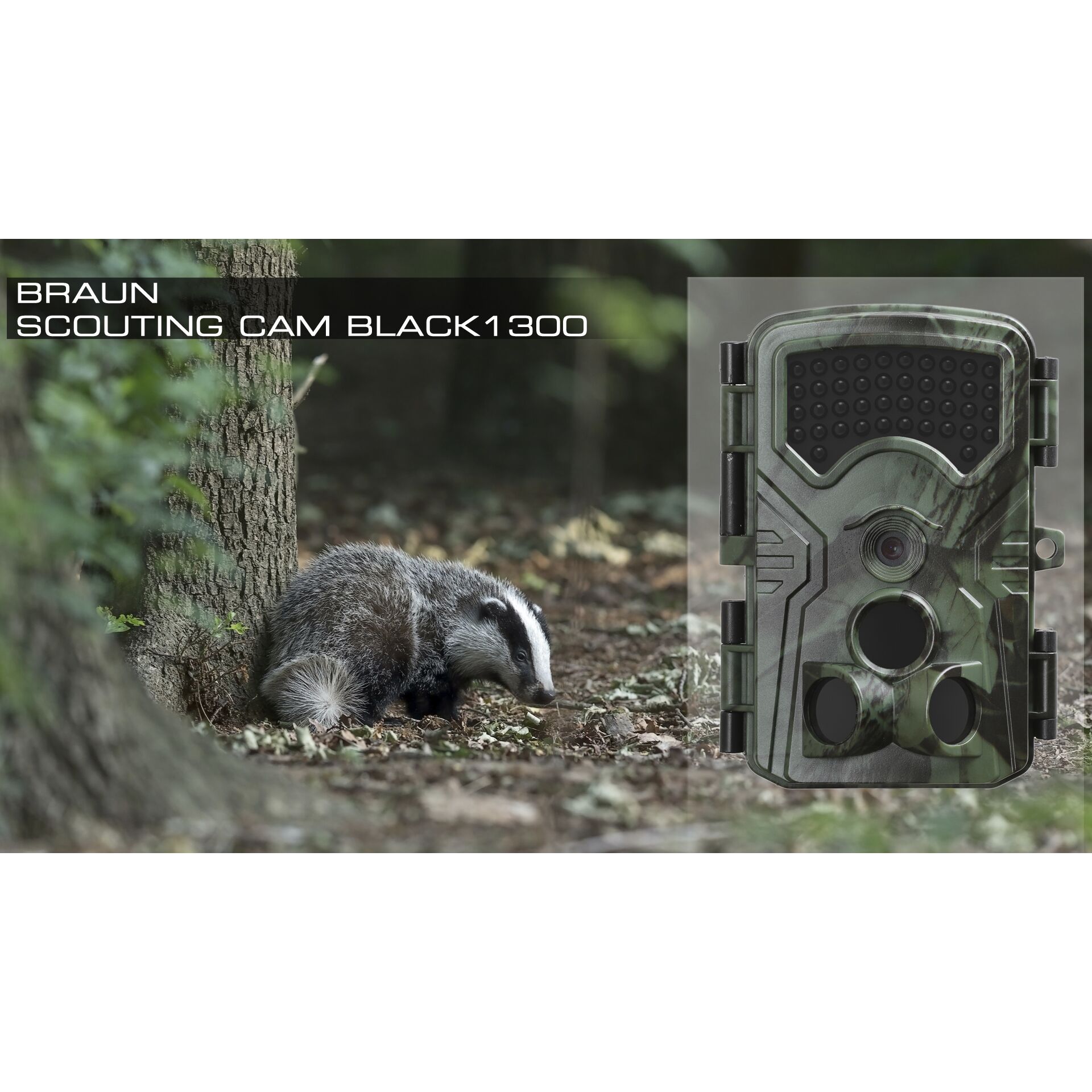 Pistole, Tier, Säugetier, Tierwelt, Dachs