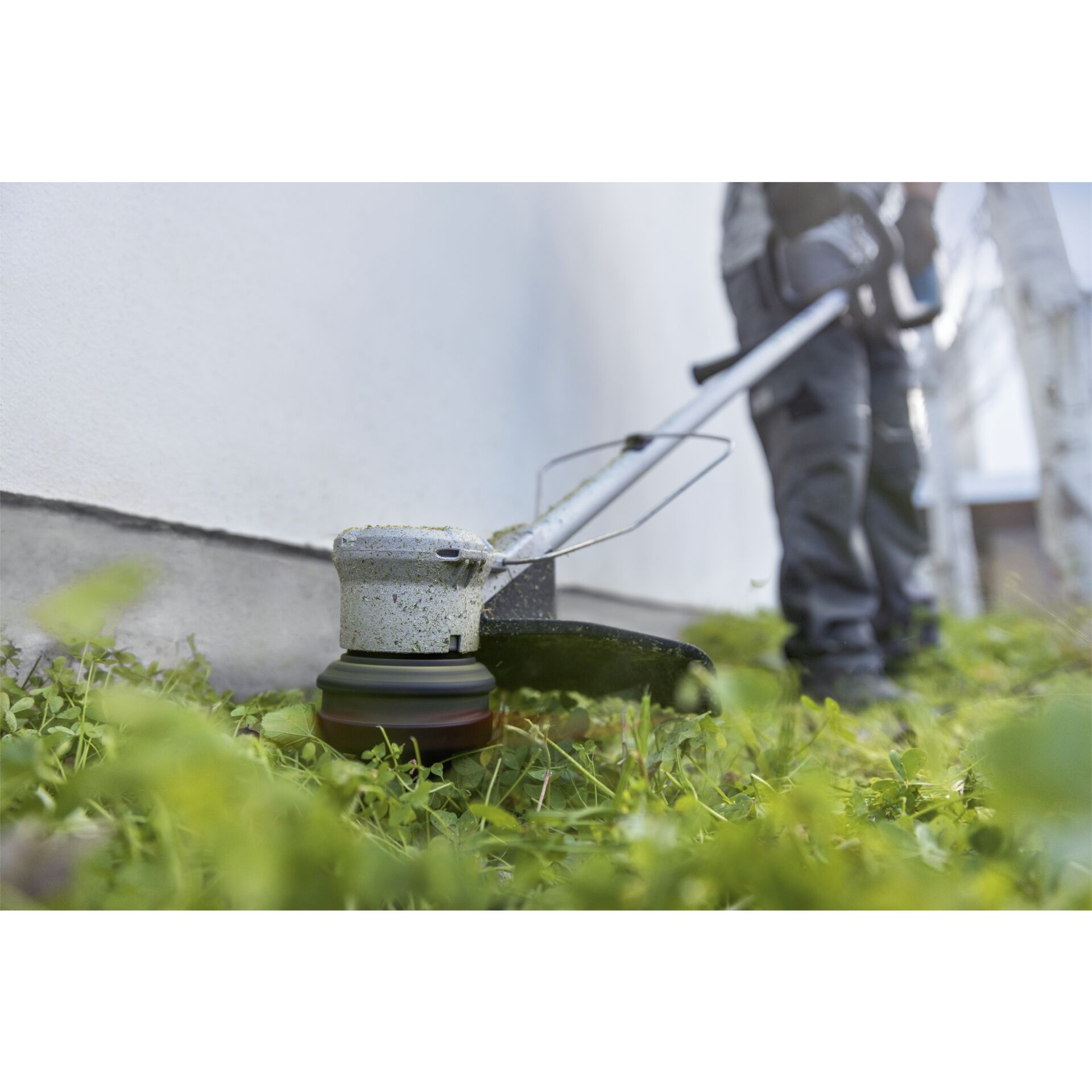 Gras, Rasen, Pflanze, Gerät