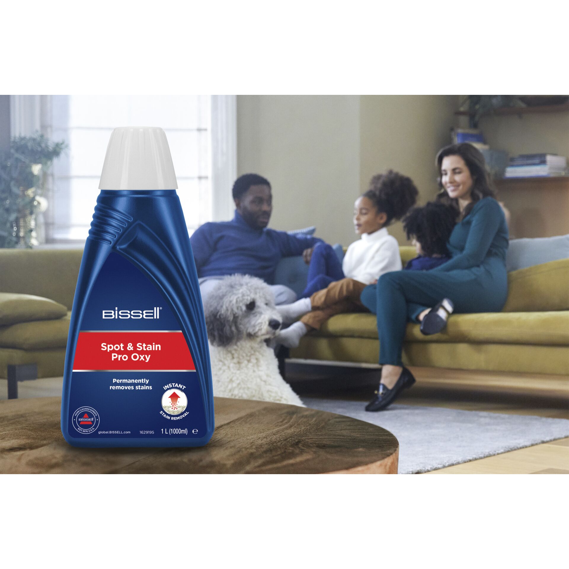 Couch, Flasche, Erwachsener, Mann, Person