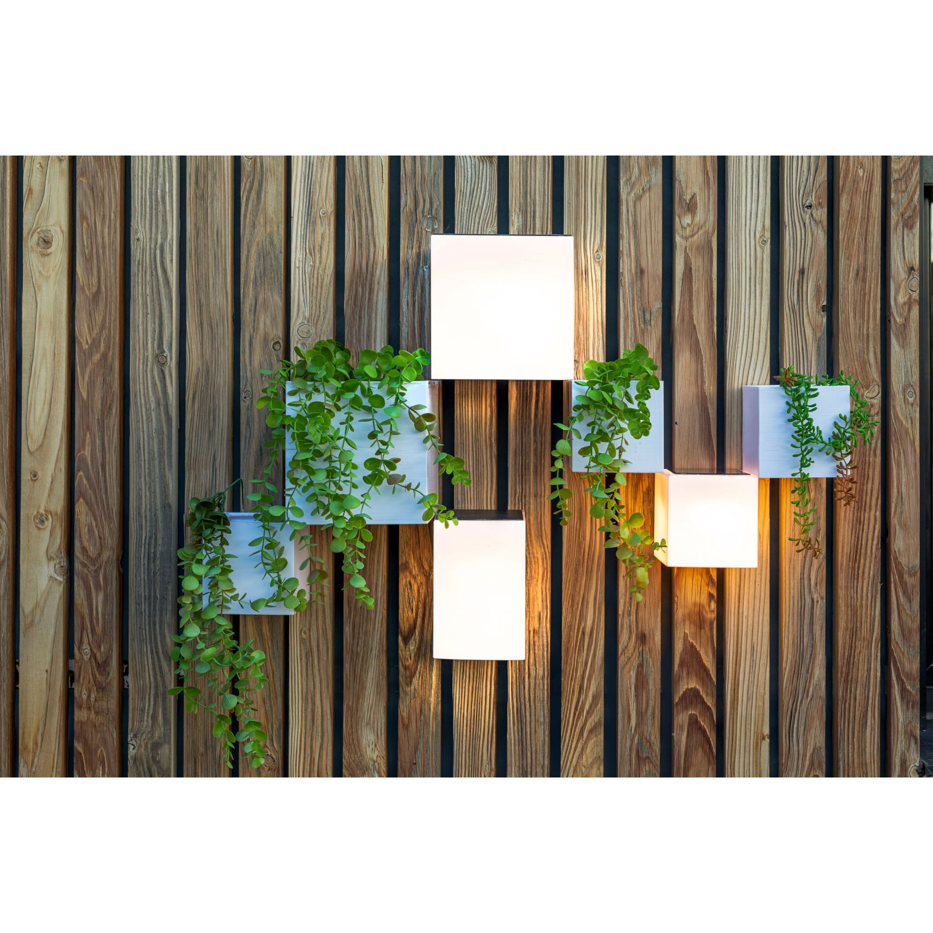 Topfpflanze, Krug, Pflanzgefäß, Töpferei, Innenarchitektur