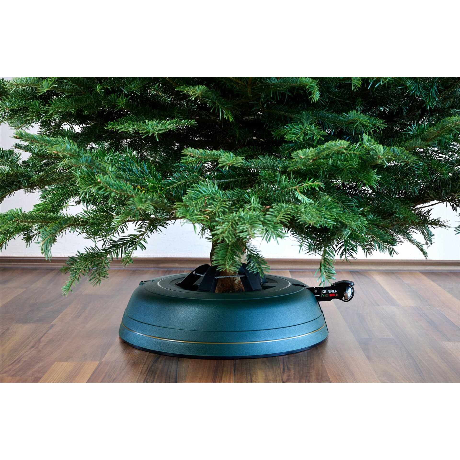 Baum, Topfpflanze, Konifer, Innenarchitektur, Tanne