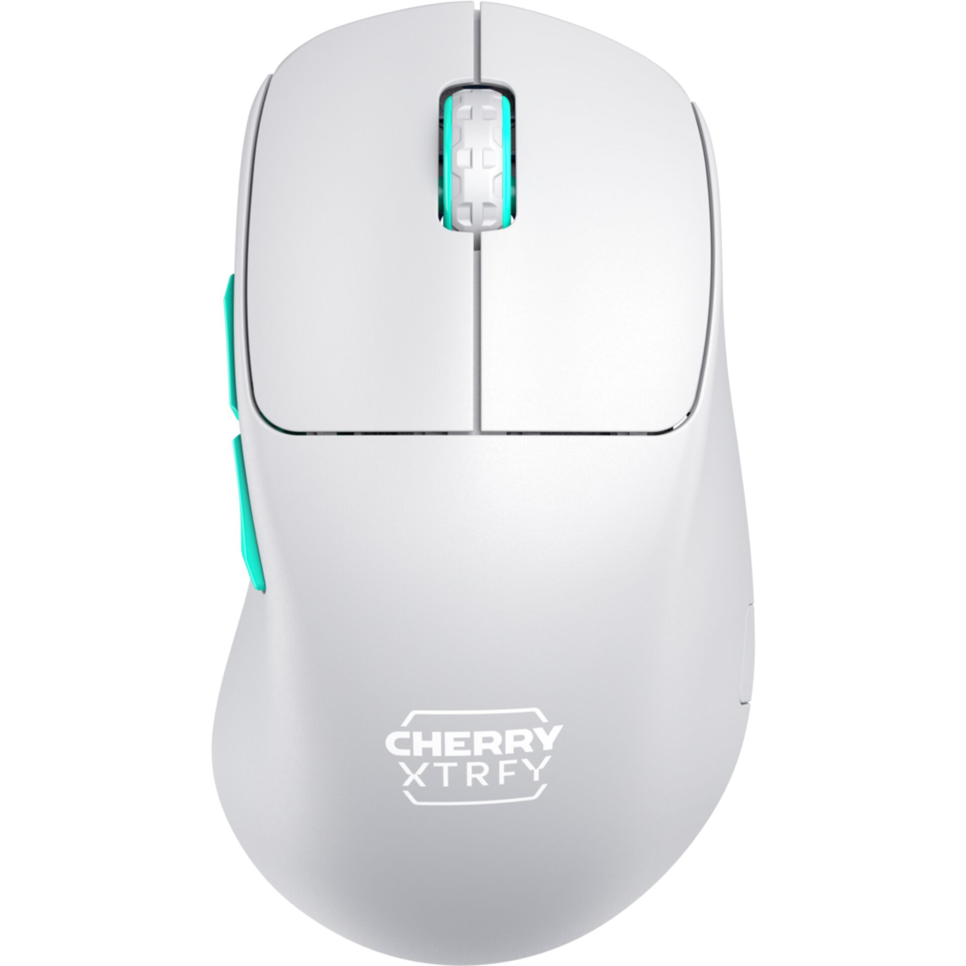 Maus, Gaming-Maus, Drahtlos, RGB, Ergonomisch
