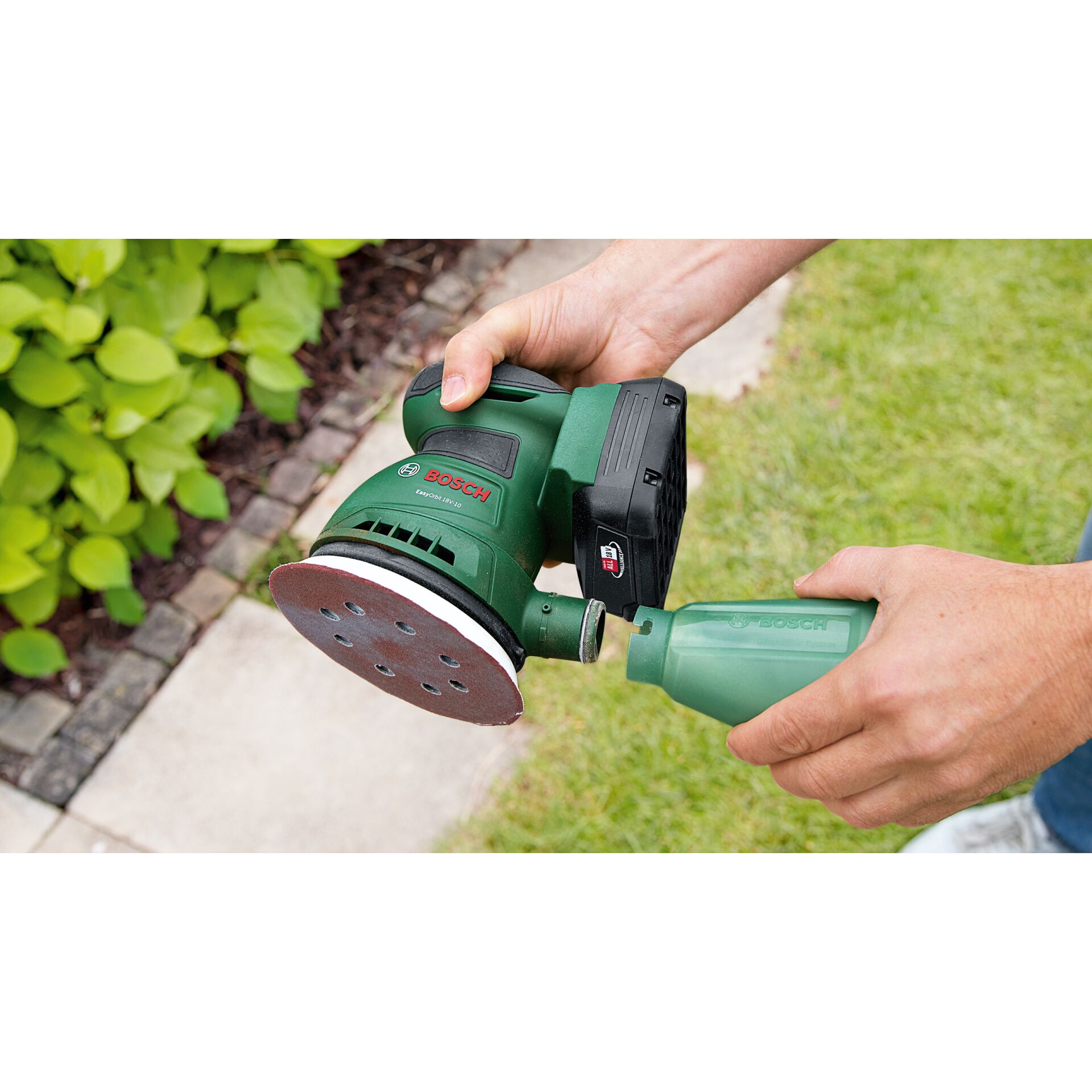 Drinnen, Innenarchitektur, Gras, Pflanze