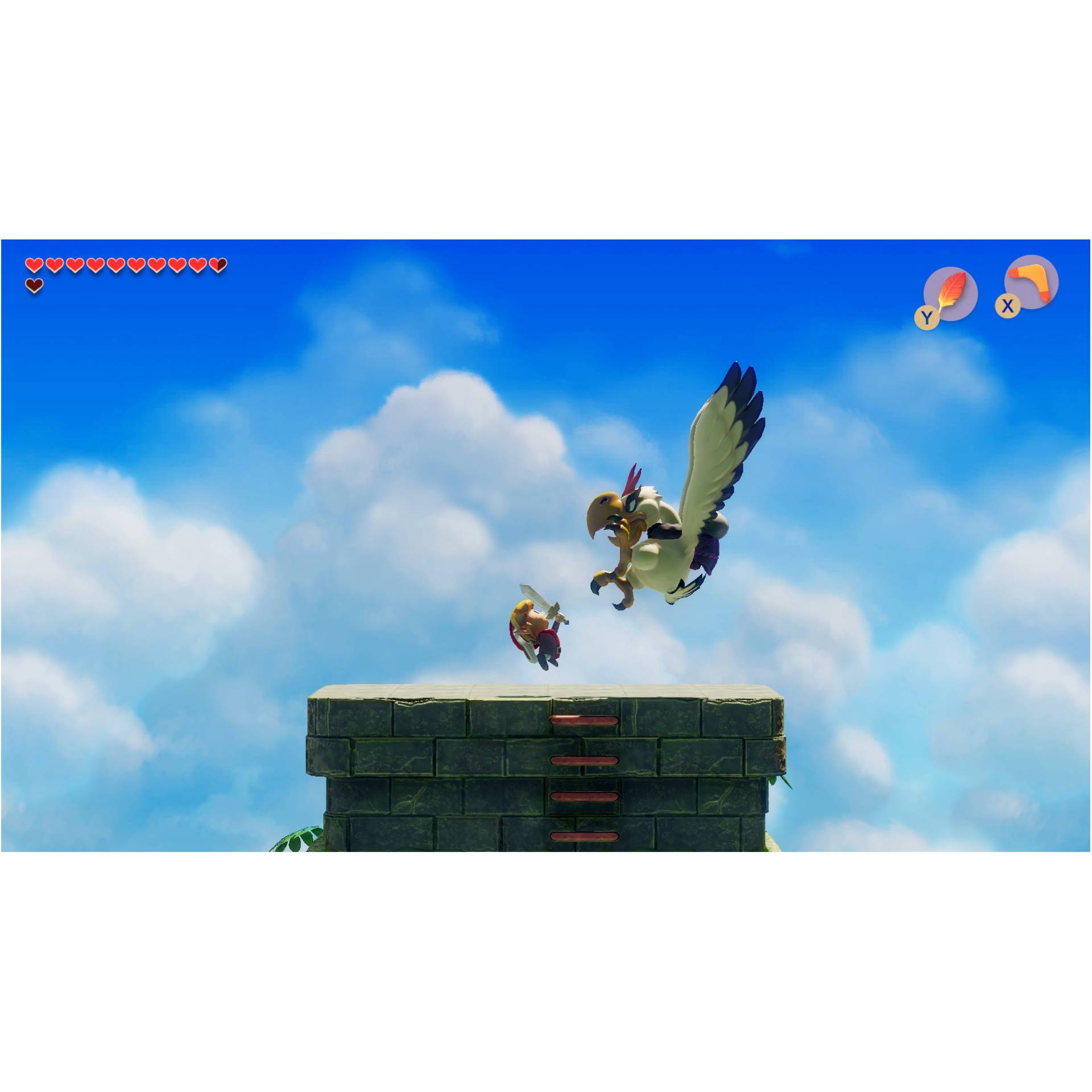 Tier, Vogel, Fliegend, Geier, Person