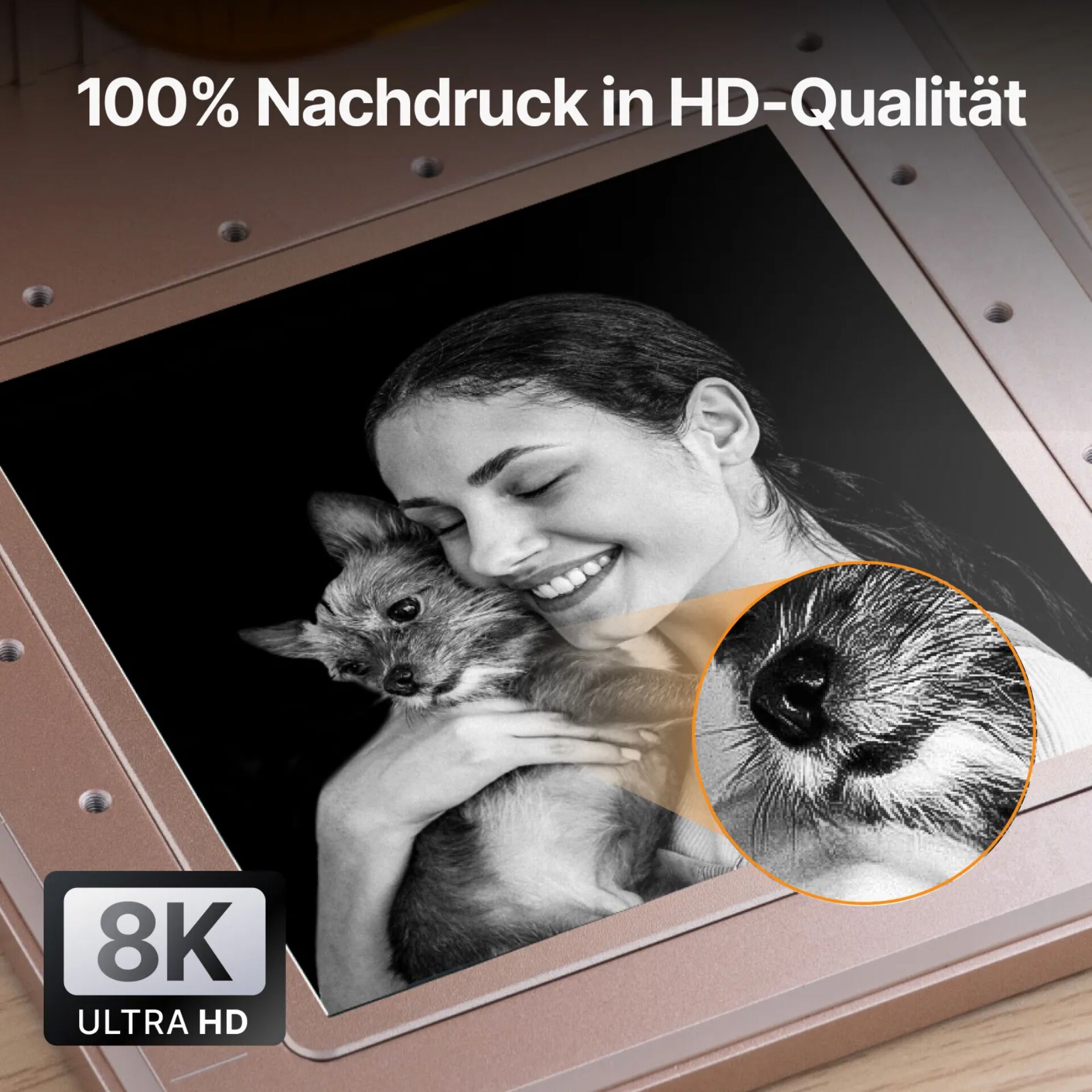 Fotografie, Hund, Katze, 8K, Rahmen