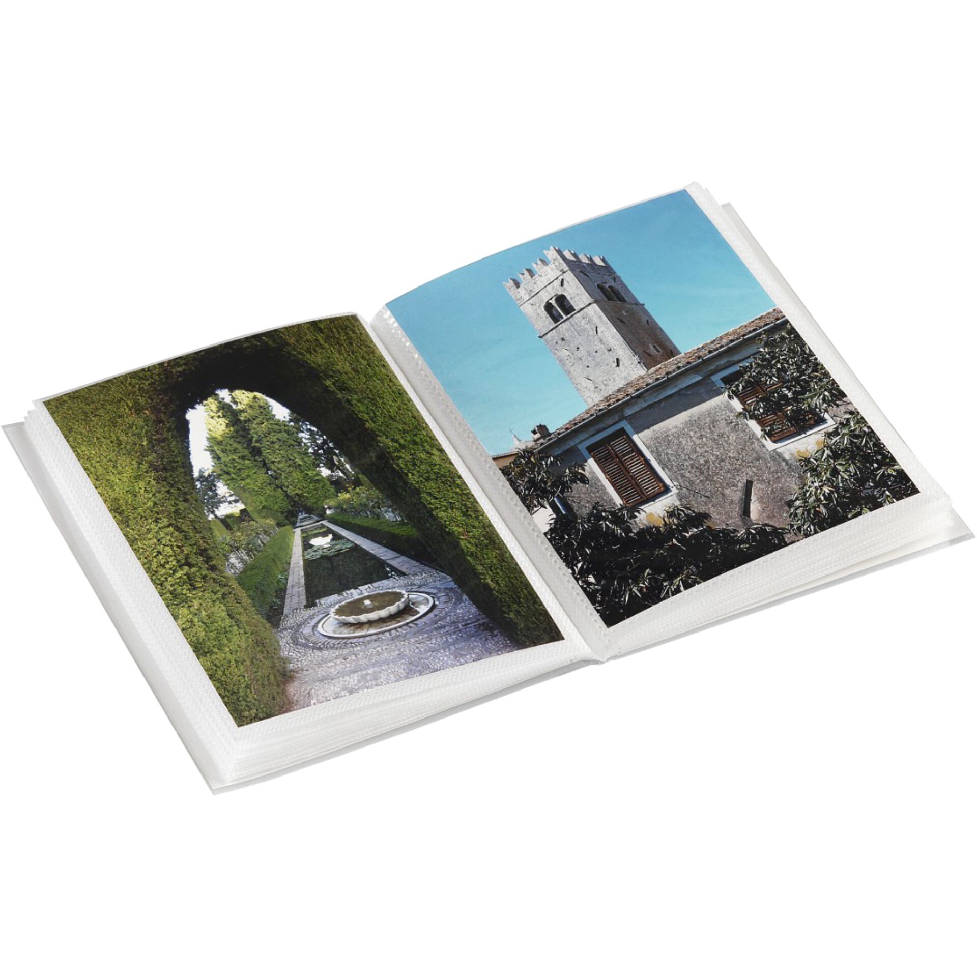 Buch, Veröffentlichung