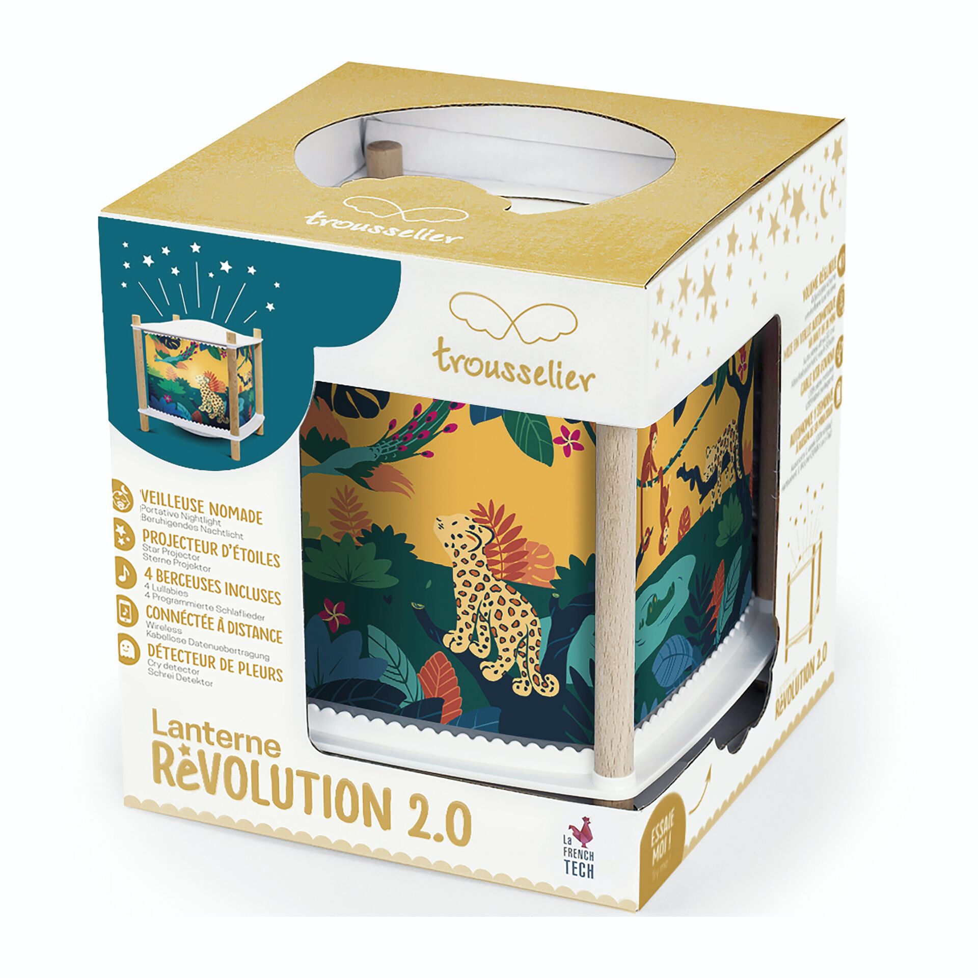 Kräuterig, Pflanze, Kiste, Porzellan, Karton