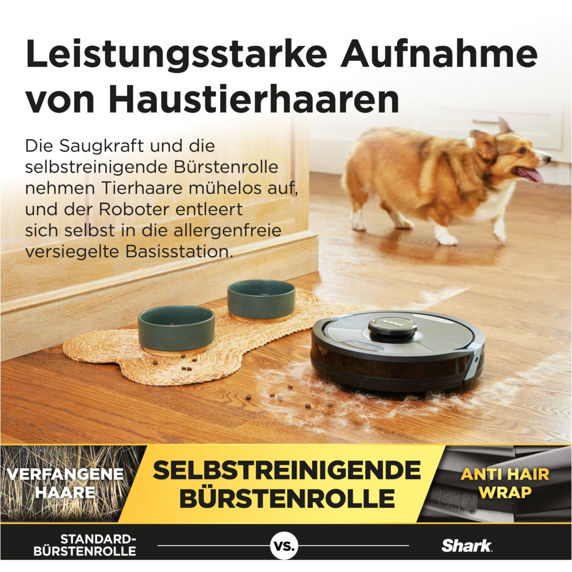 Werbung, Holz, Hund, Hartholz, Plakat