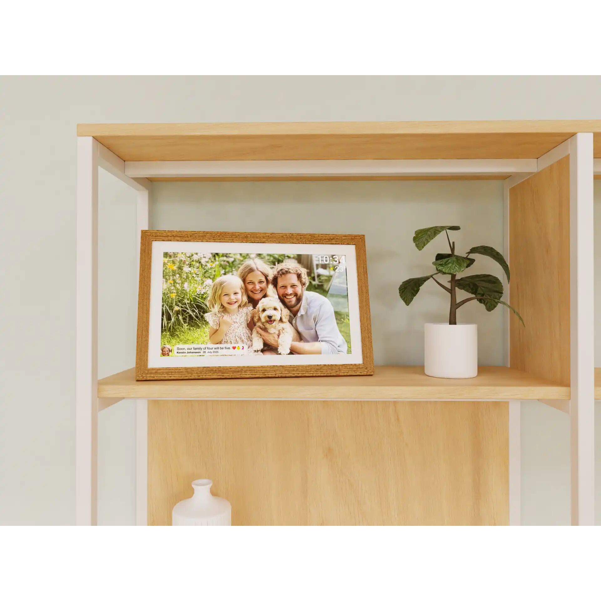 Pflanze, Regal, Mobiliar