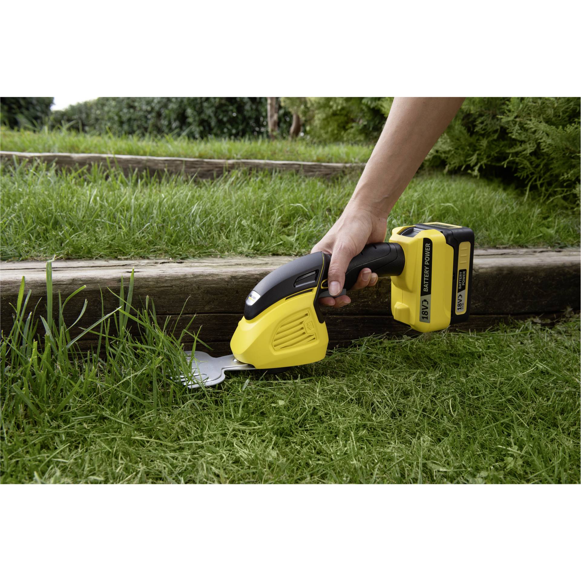 Gras, Pflanze, Rasen, Drinnen, Innenarchitektur