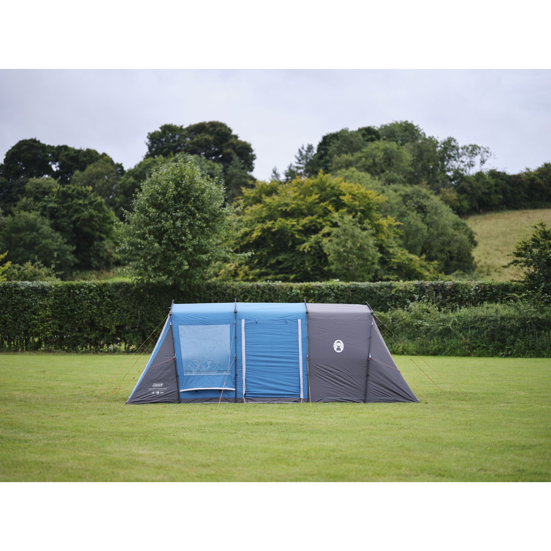 Zelt, Campen, Im Freien, Gras, Pflanze