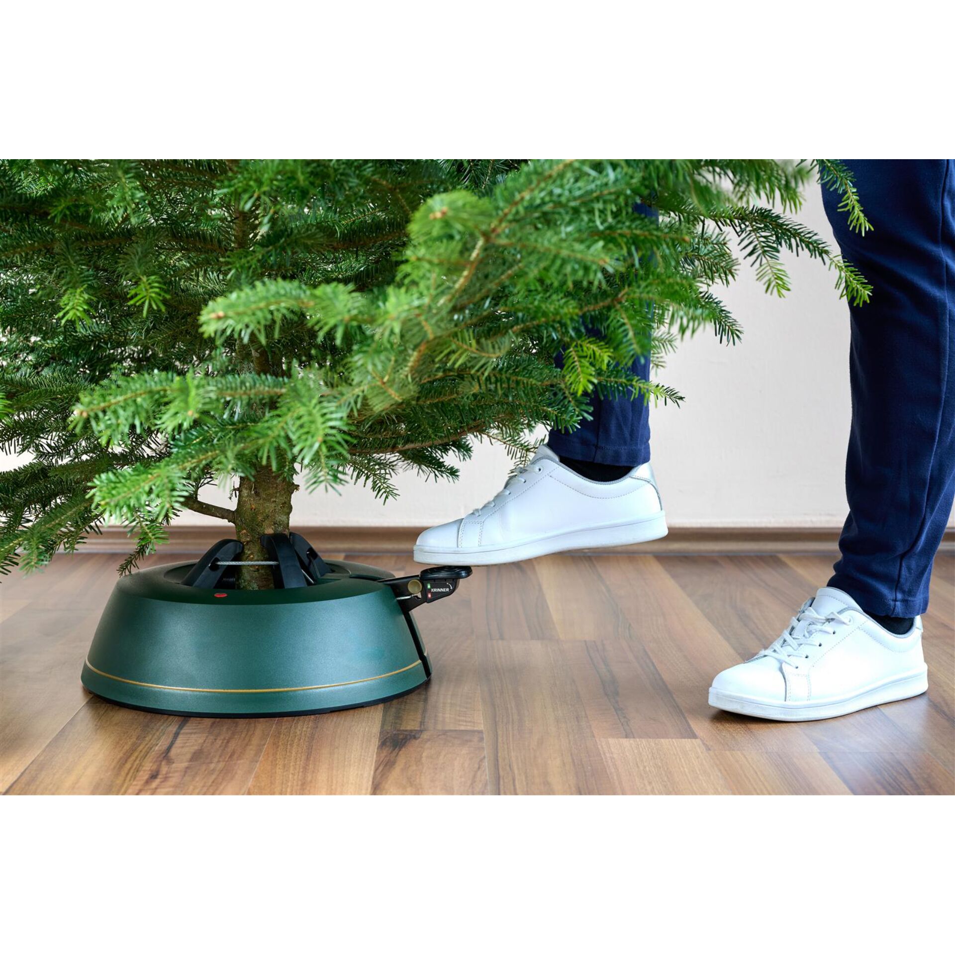 Baum, Topfpflanze, Schuh, Sneaker, Innenarchitektur