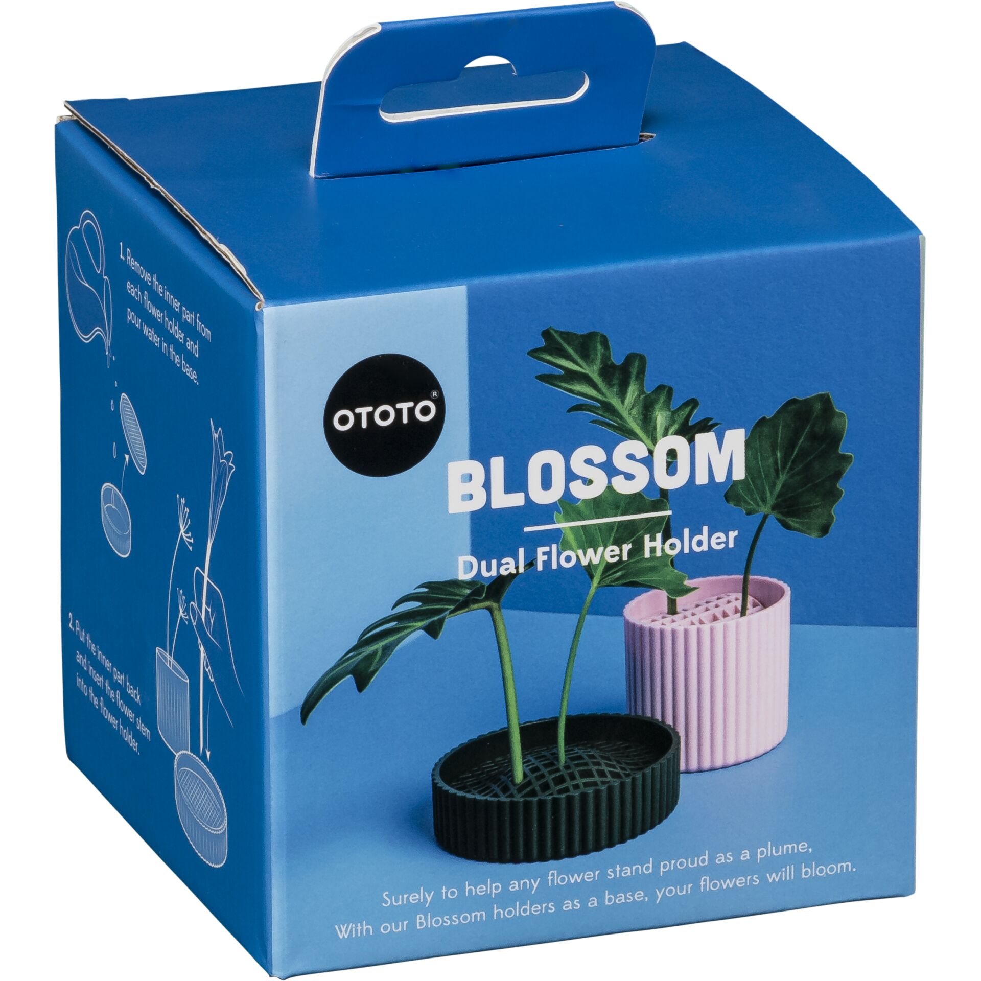 Pflanze, Pflanze im Topf, Kiste