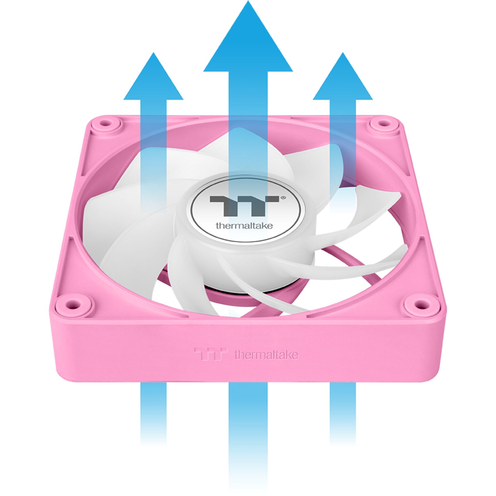 Computerausrüstung, Elektronik, Hardware