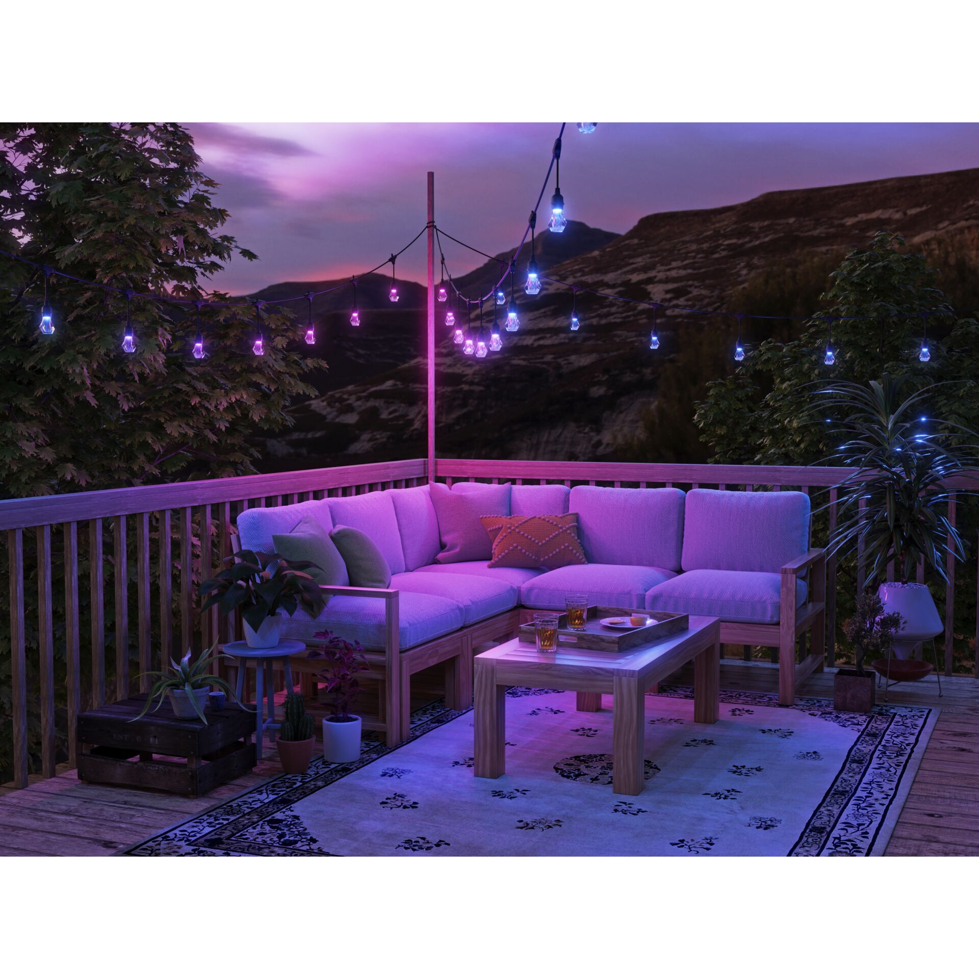 Couch, Wohnzimmer, Innenarchitektur, Inneneinrichtung, Pflanze