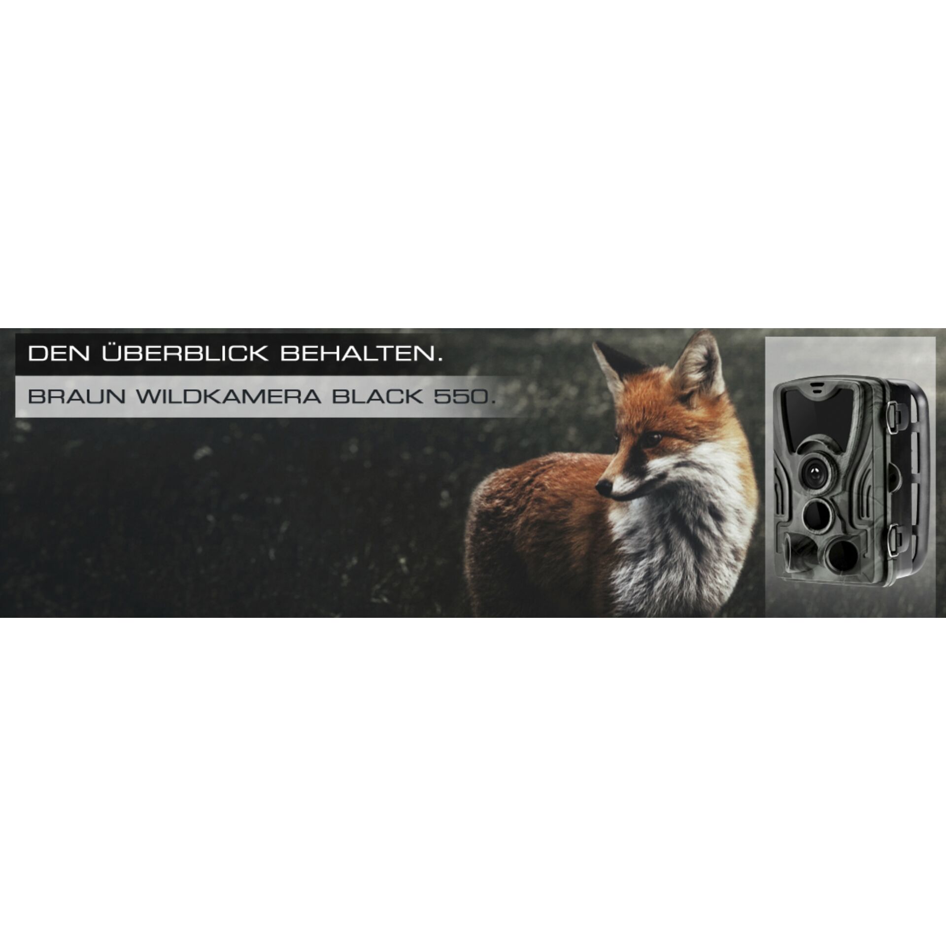 Hund, Fuchs, Tierwelt, Roter Fuchs, Bausatz Fox