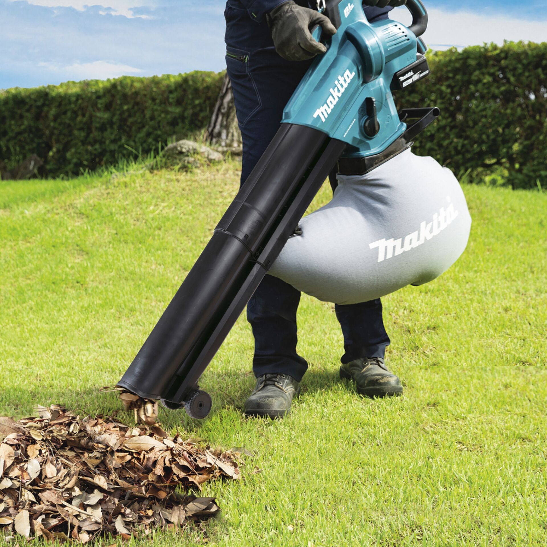 Gras, Pflanze, Rasen, Handschuh, Gerät