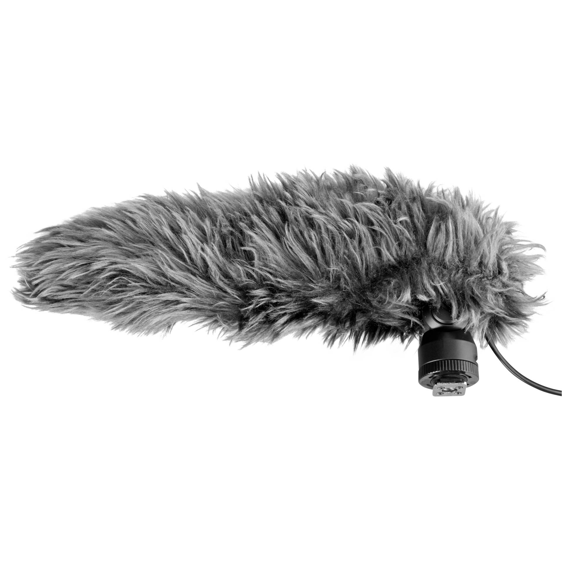 Elektrisches Gerät, Mikrophon, Hund, Säugetier, Haustier