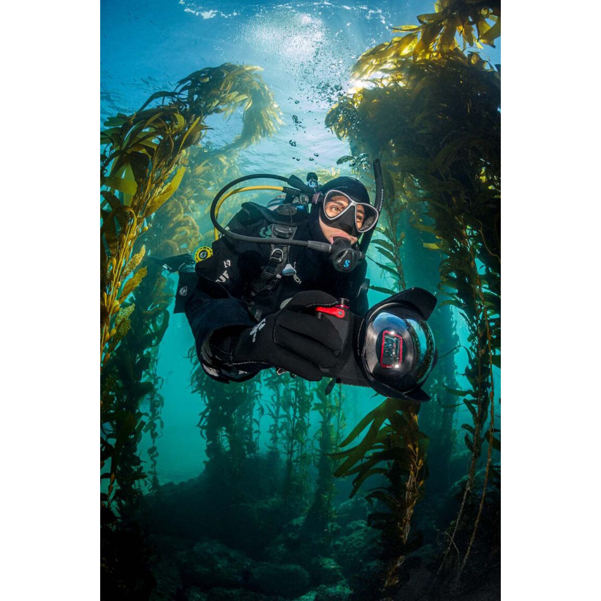 Natur, Draußen, Wasser, Tauchen, Fotografieren