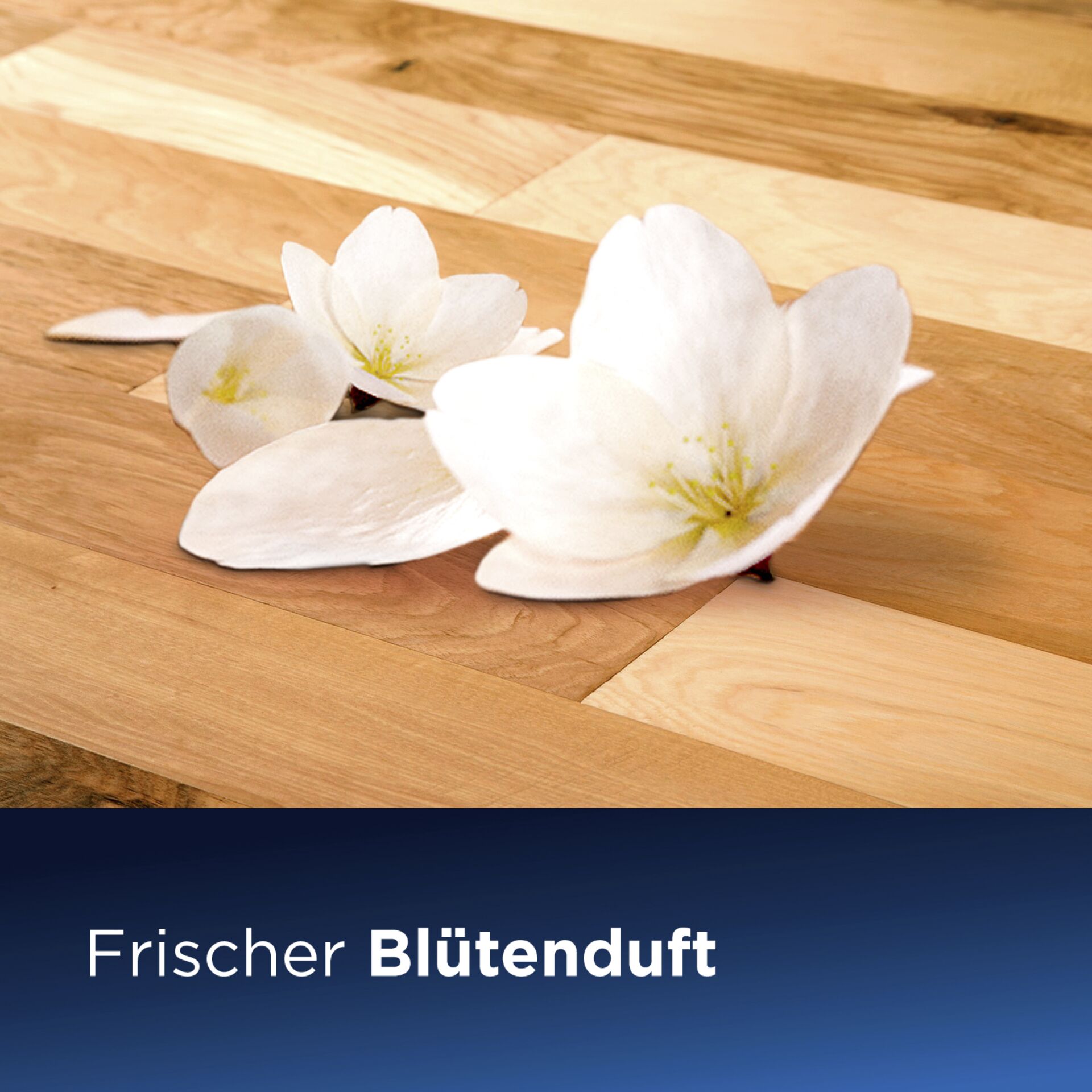 Blütenblatt, Holz, Hartholz, Ein anderer, Innenarchitektur