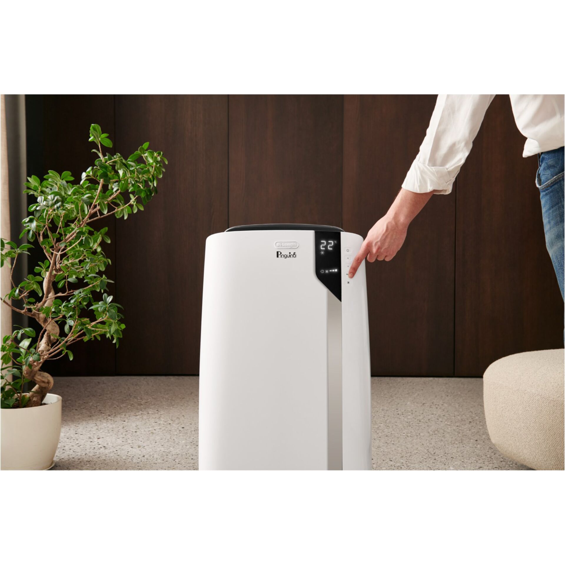 Pflanze, Pflanze im Topf, Gerät, Elektrisches Gerät, Kühlschrank