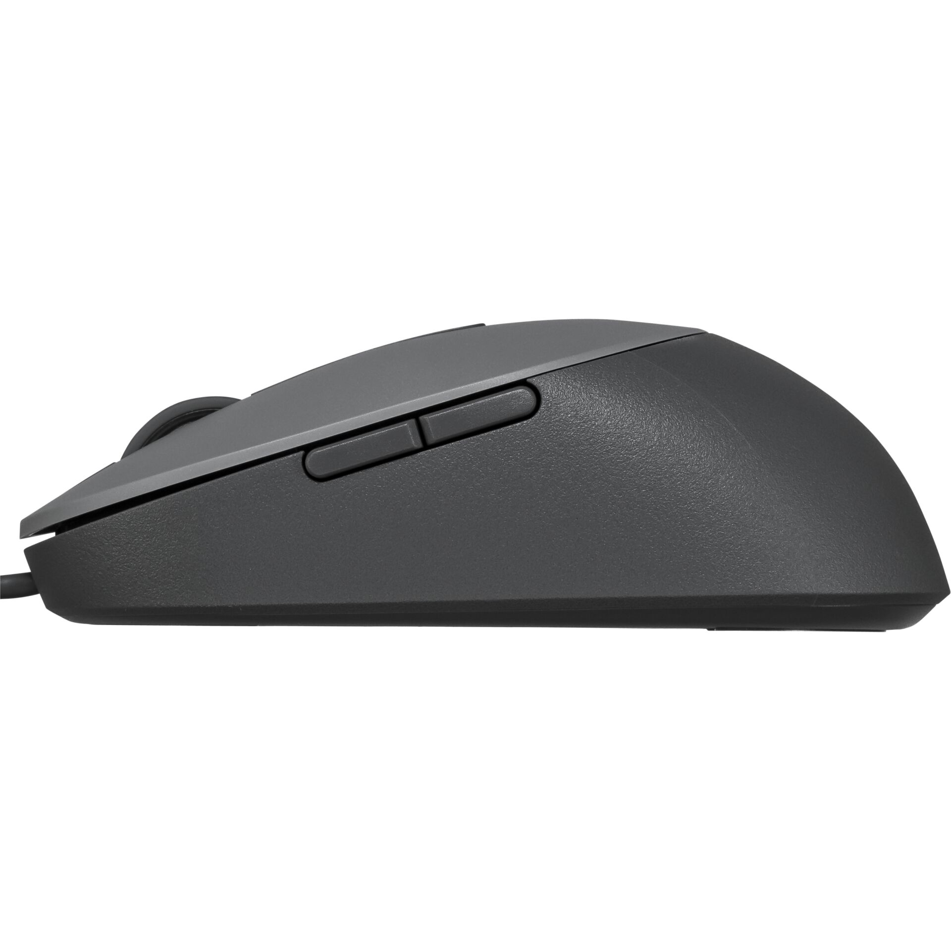 Computerausrüstung, Elektronik, Hardware, Maus