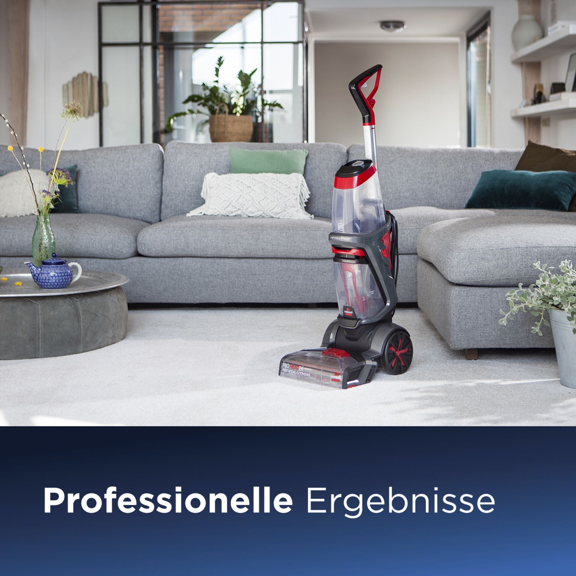Pflanze, Pflanze im Topf, Gerät, Elektrisches Gerät