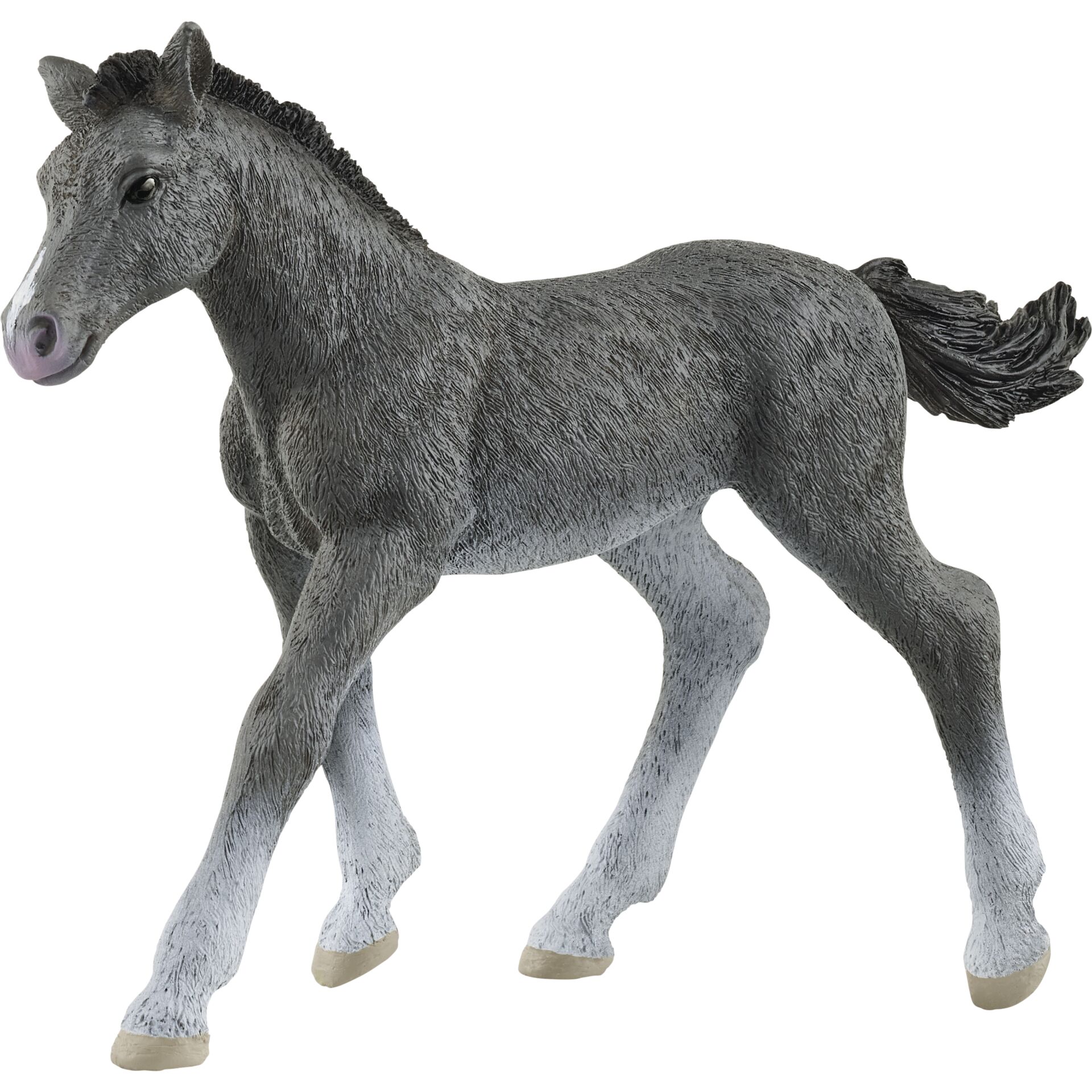Tier, Pferd, Säugetier, Colt Horse