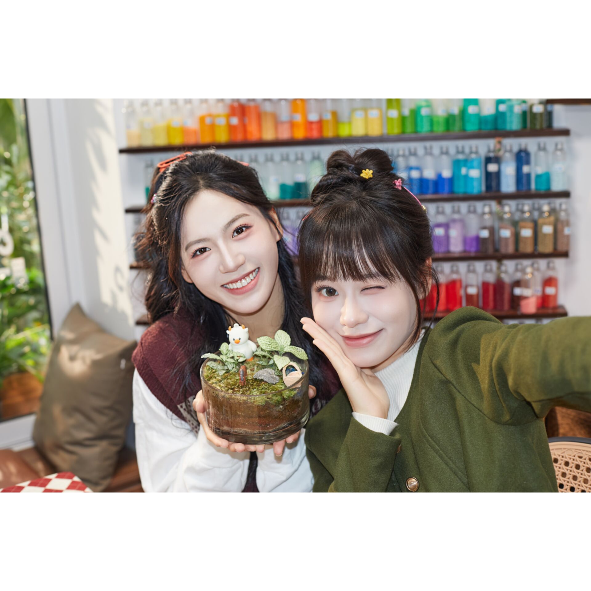 Leute, Person, Topfpflanze, Portrait, Lächeln, Leute, Person, Topfpflanze, Portrait, Lächeln