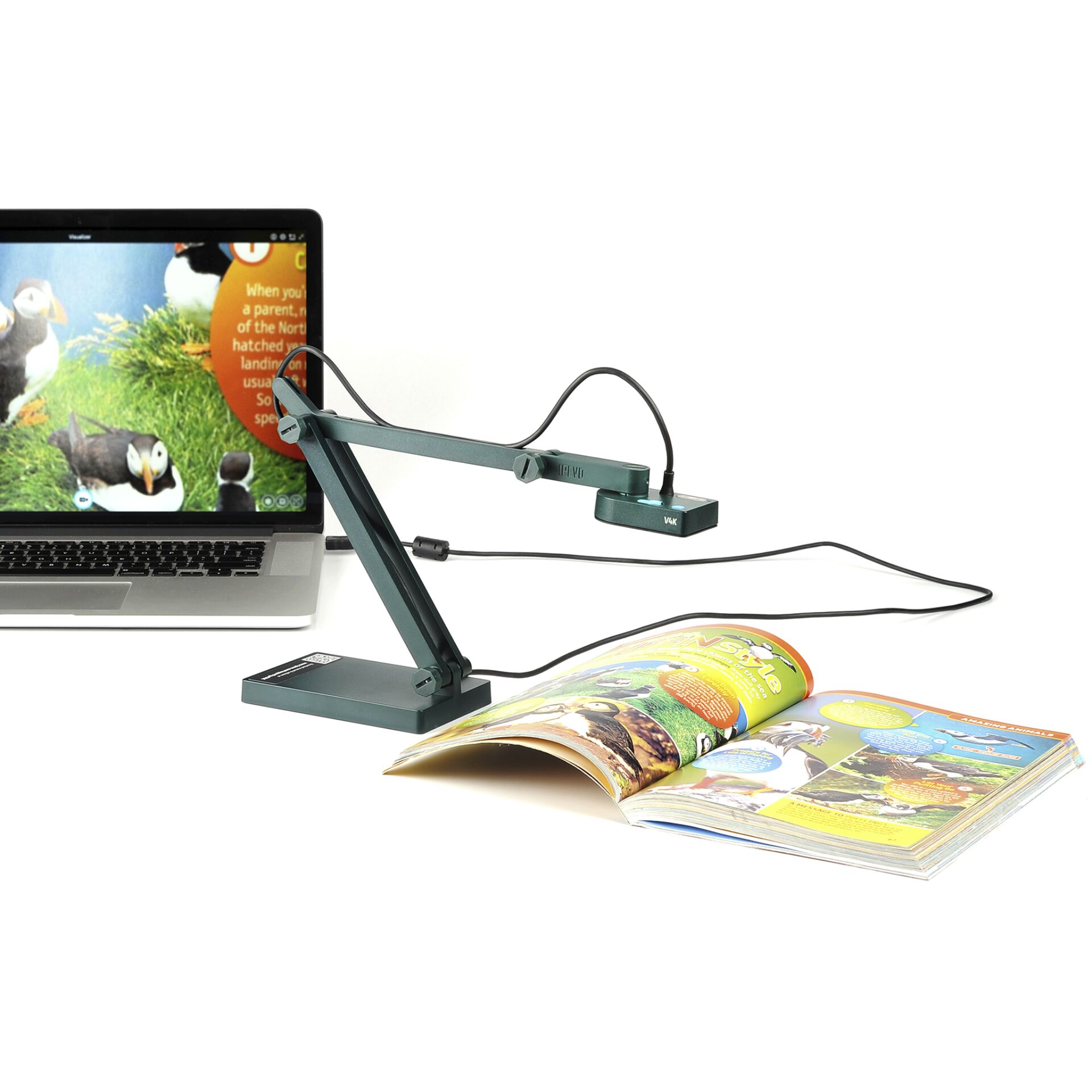 Elektrisches Gerät, Mikrophon, Laptop, Computer-Tastatur, Vogel