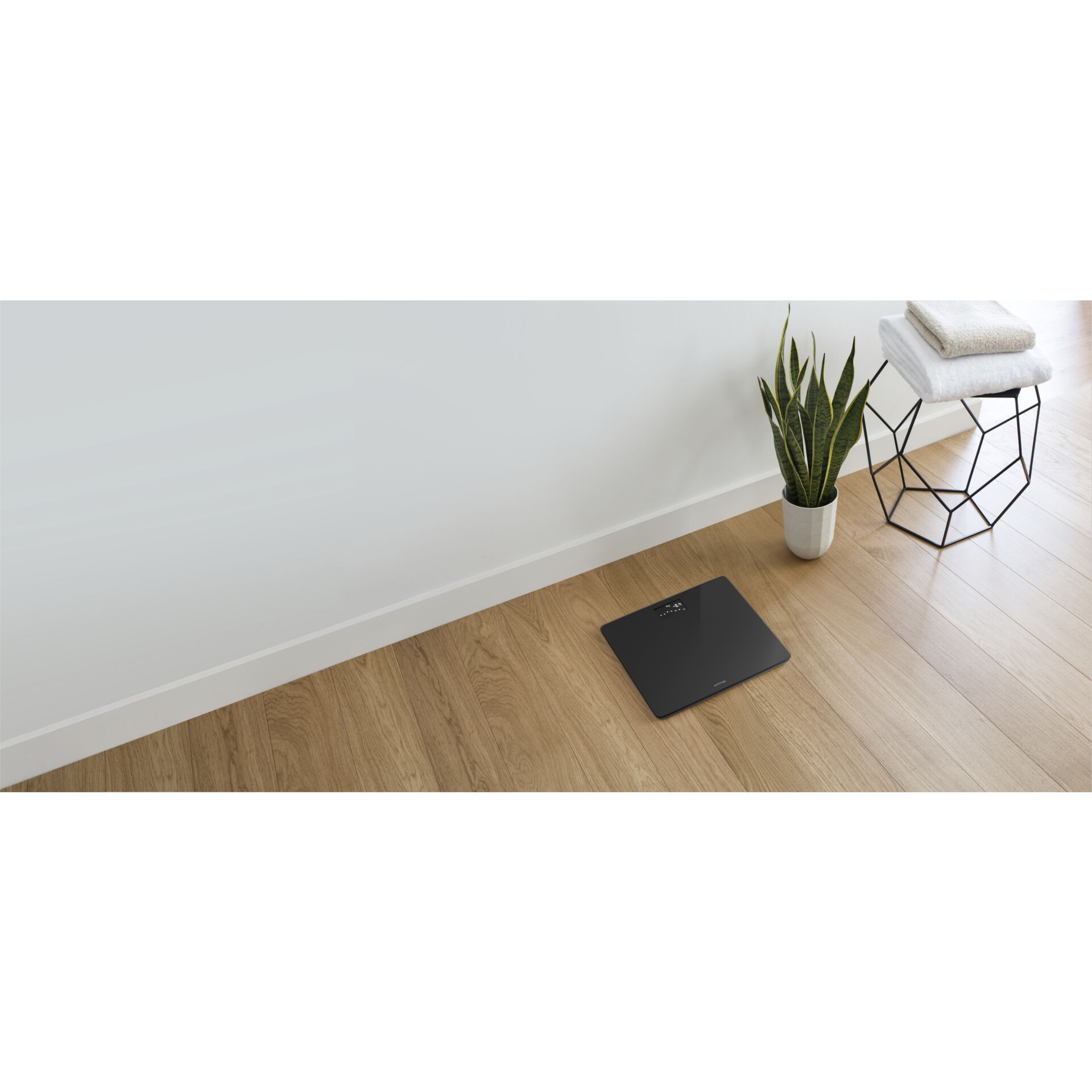 Innenarchitektur, Fußboden, Bodenbeläge, Inneneinrichtung, Pflanze