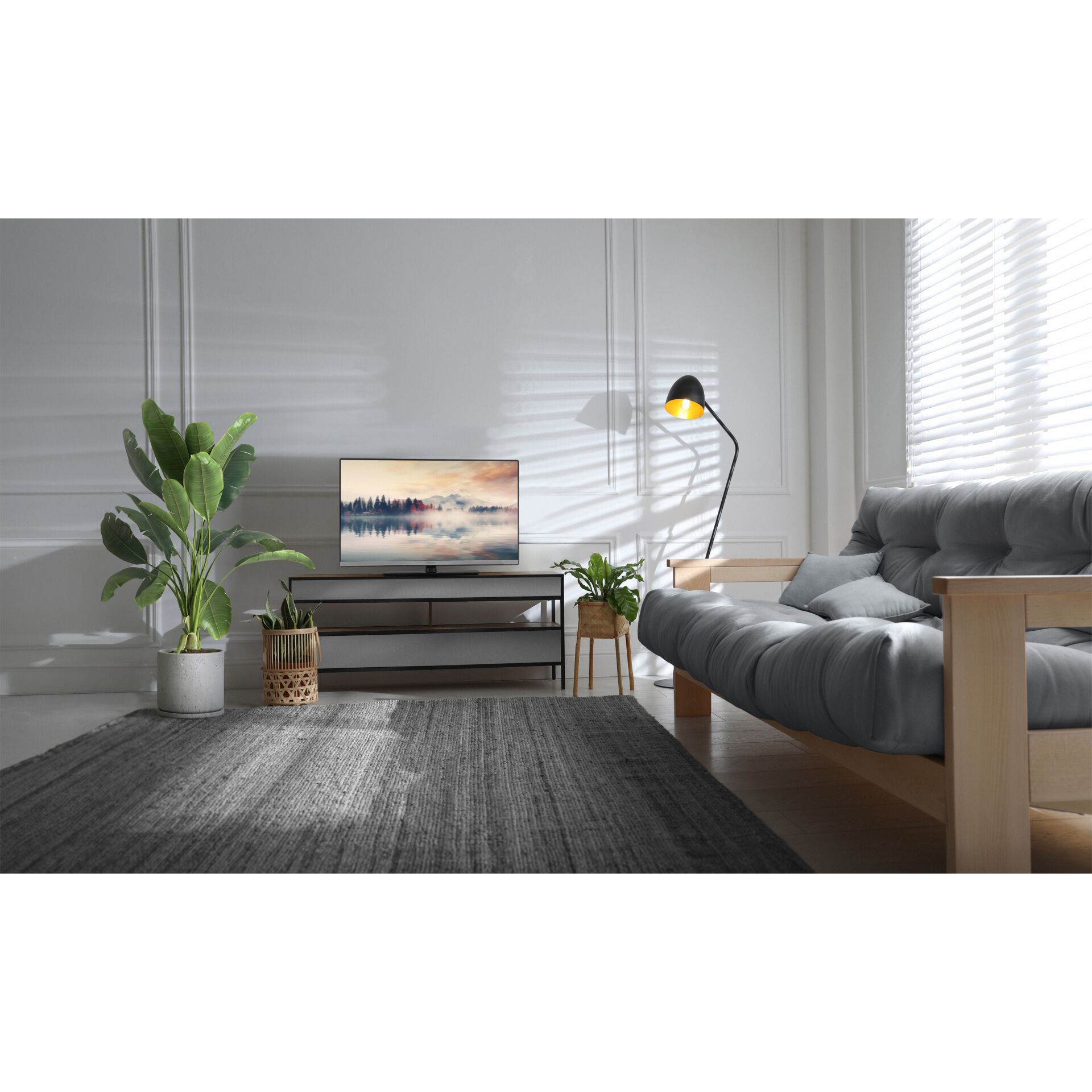 wohnzimmer, tv-station, fernseher, pflanzen, sofa
