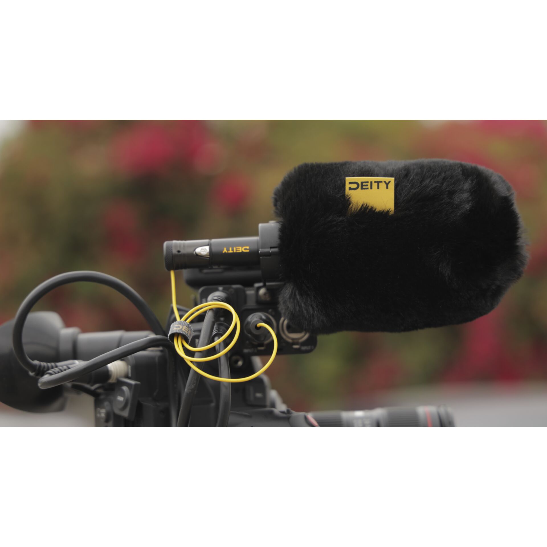 Elektronik, Videokamera, Kissen, Dekoration für Zuhause, mikrofon