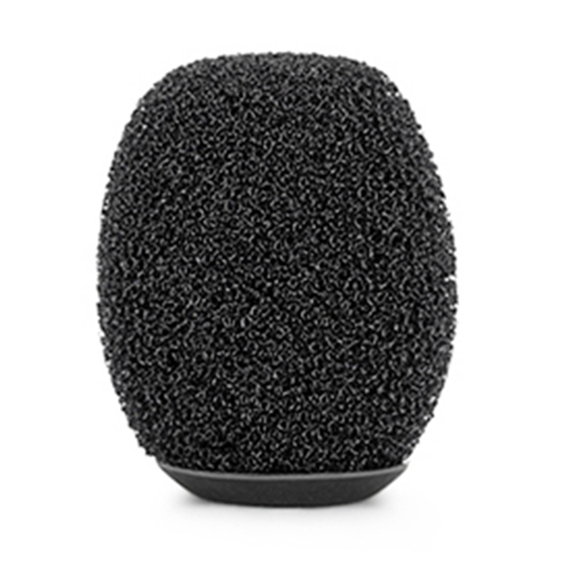 Elektrisches Gerät, Mikrophon