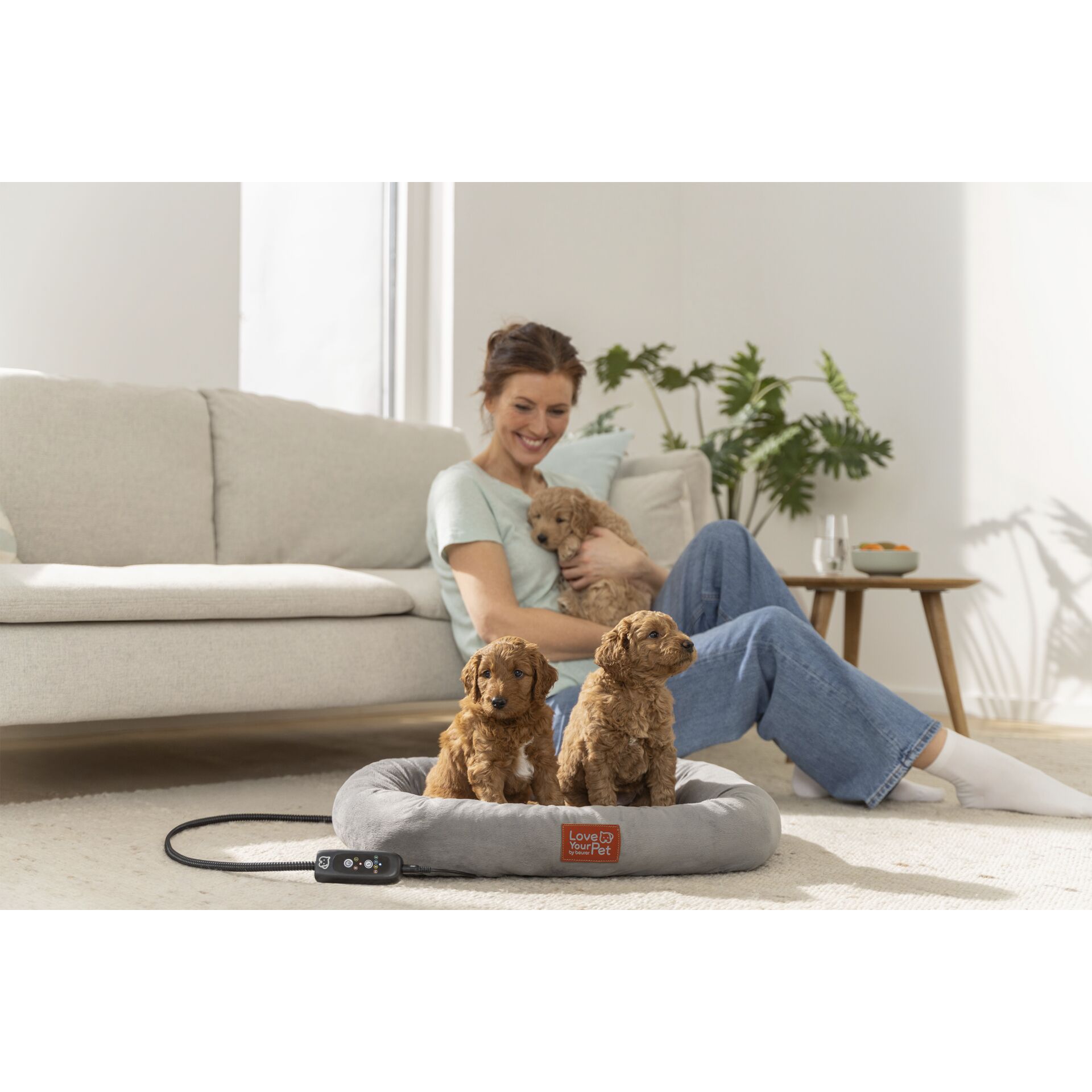 Hund, Sitzend, Haustier, Hosen