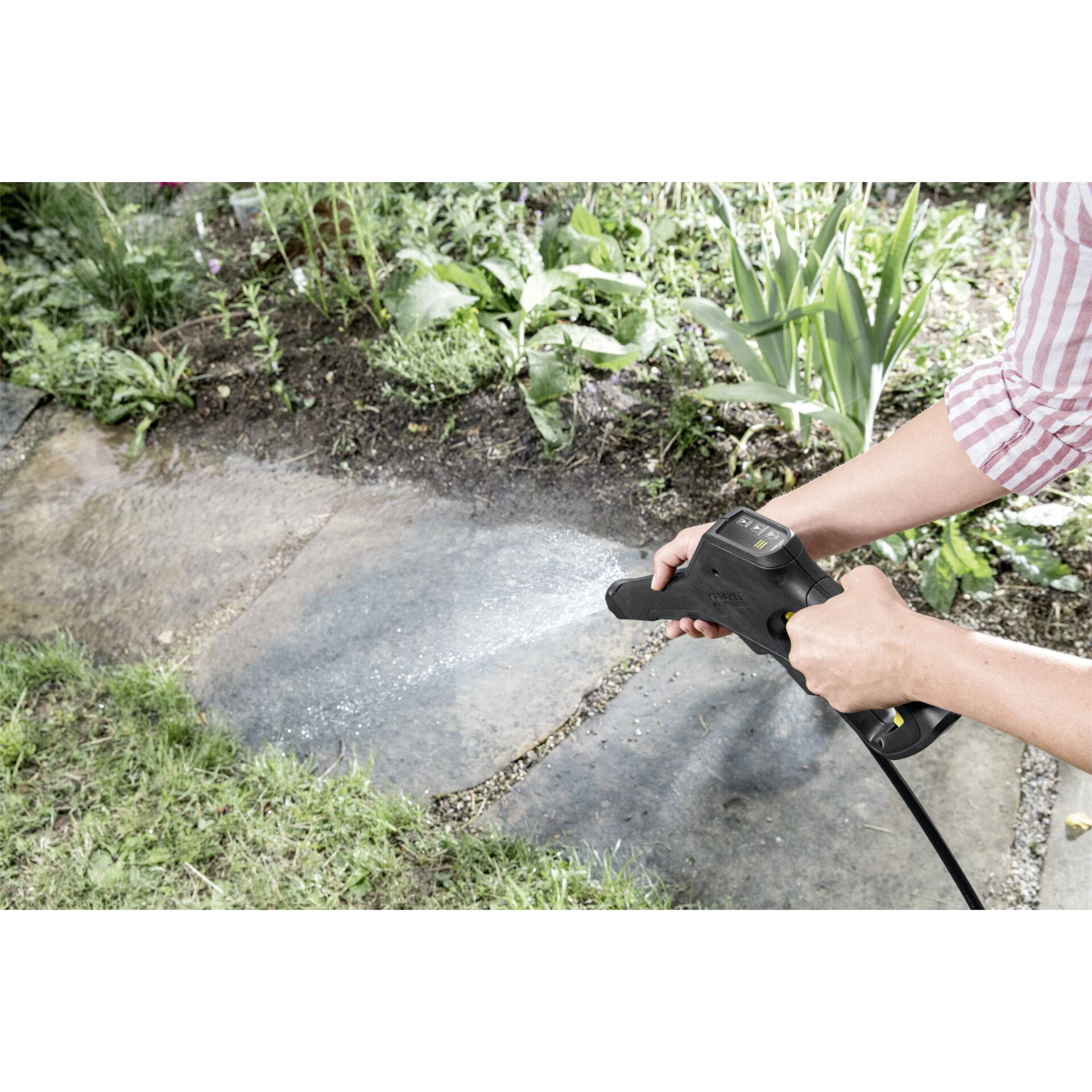 Gras, Garten, Draußen, Boden, Innenarchitektur